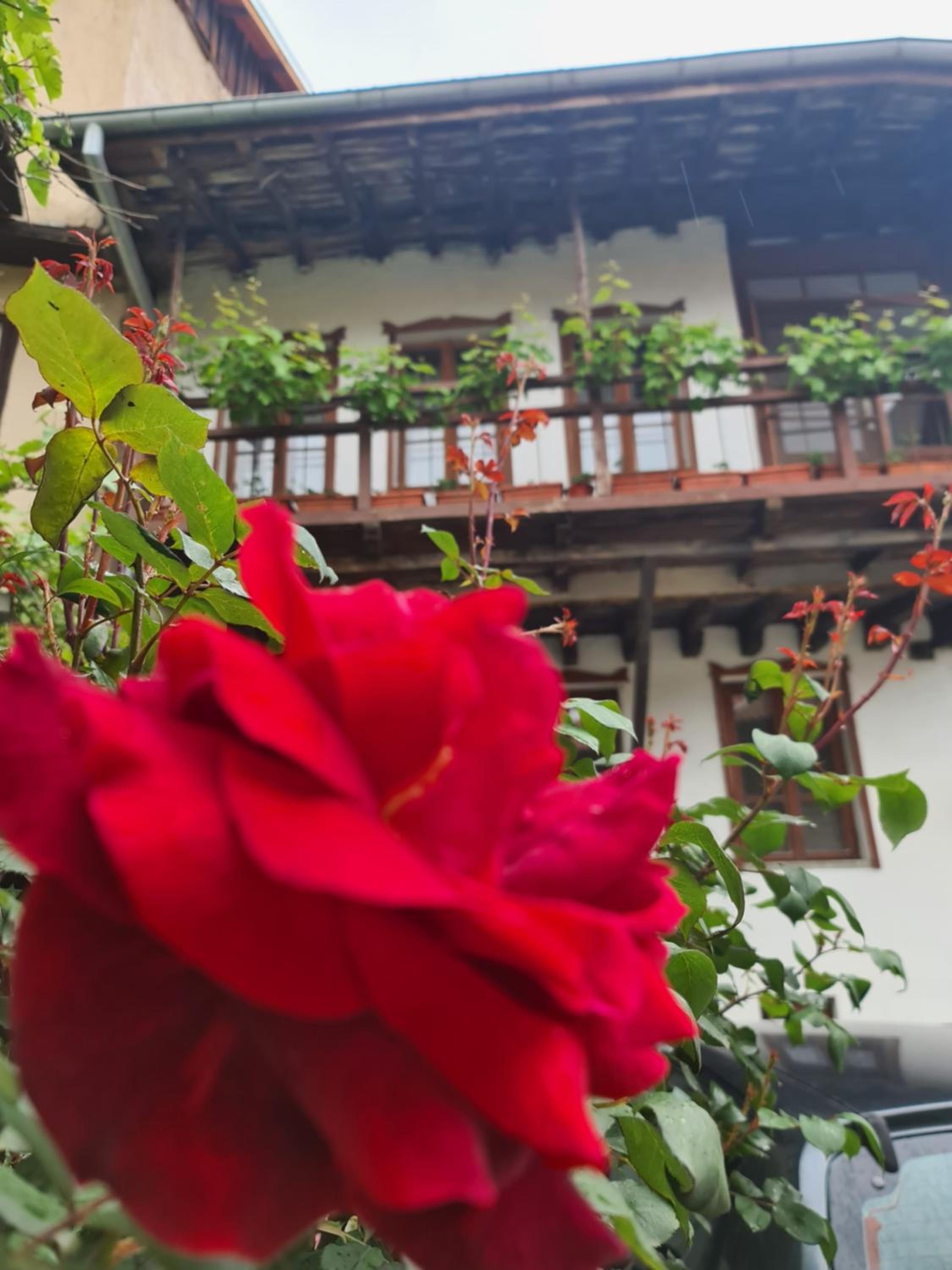 Guest House GURKO 7, 2BR, Top Center, Free Parking