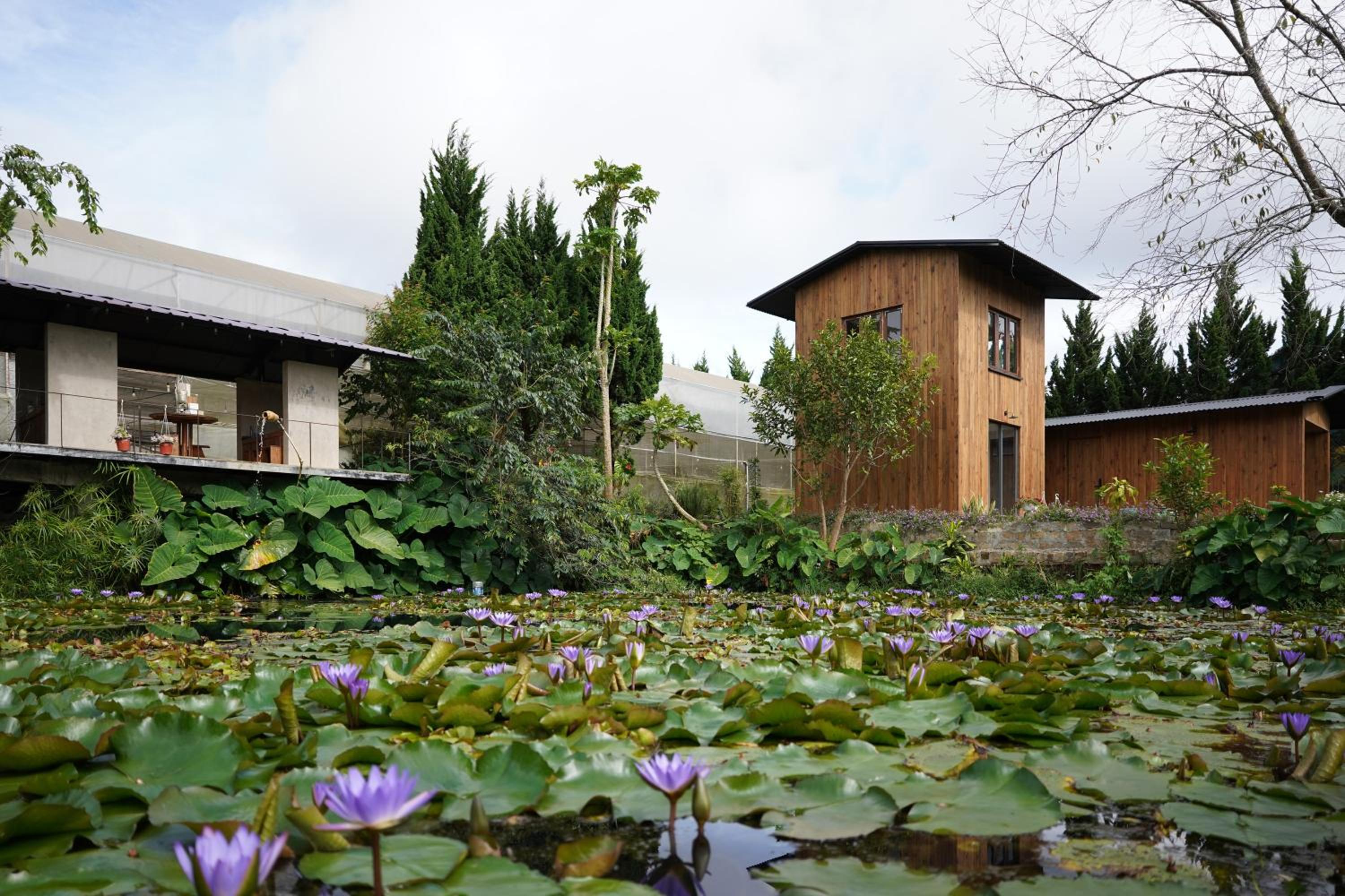 Dalaha Retreat