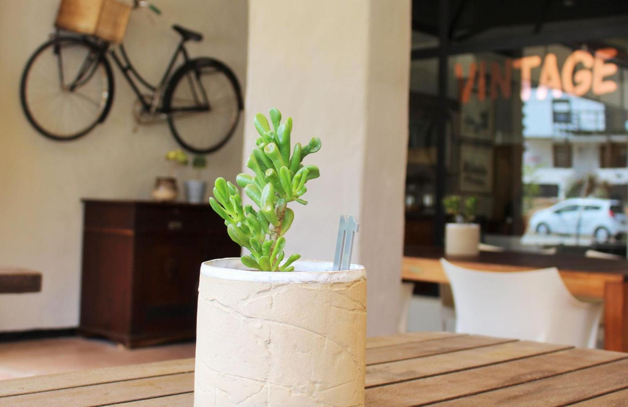 BARRYDALE Karoo - BOUTIQUE HOTEL