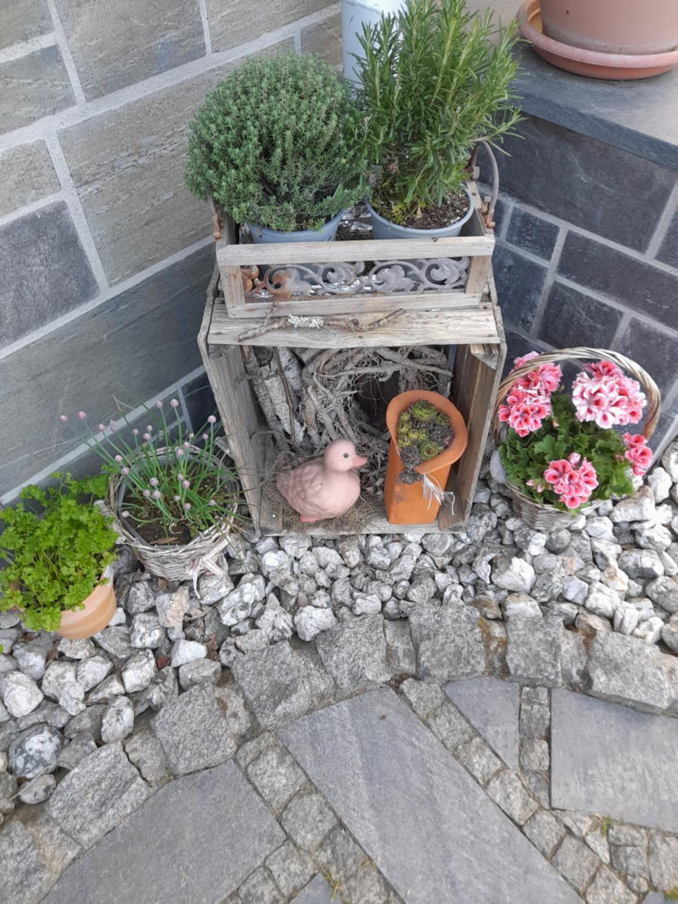 Ferienwohnung im Traumhaus