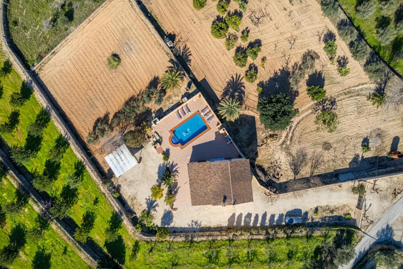 Villa Palomira - PlusHolidays