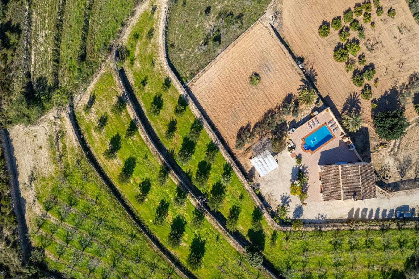 Villa Palomira - PlusHolidays
