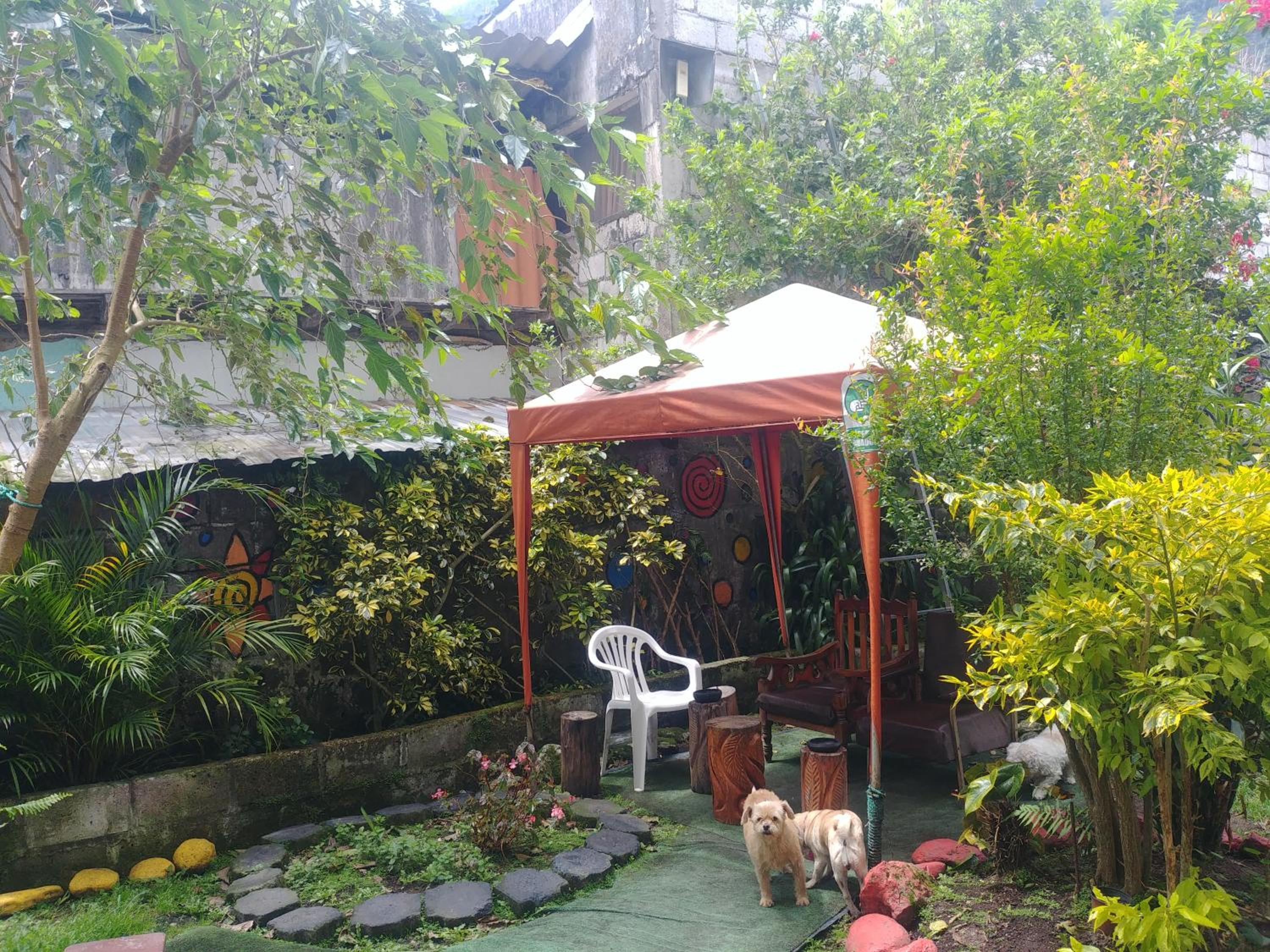 Photo 38
