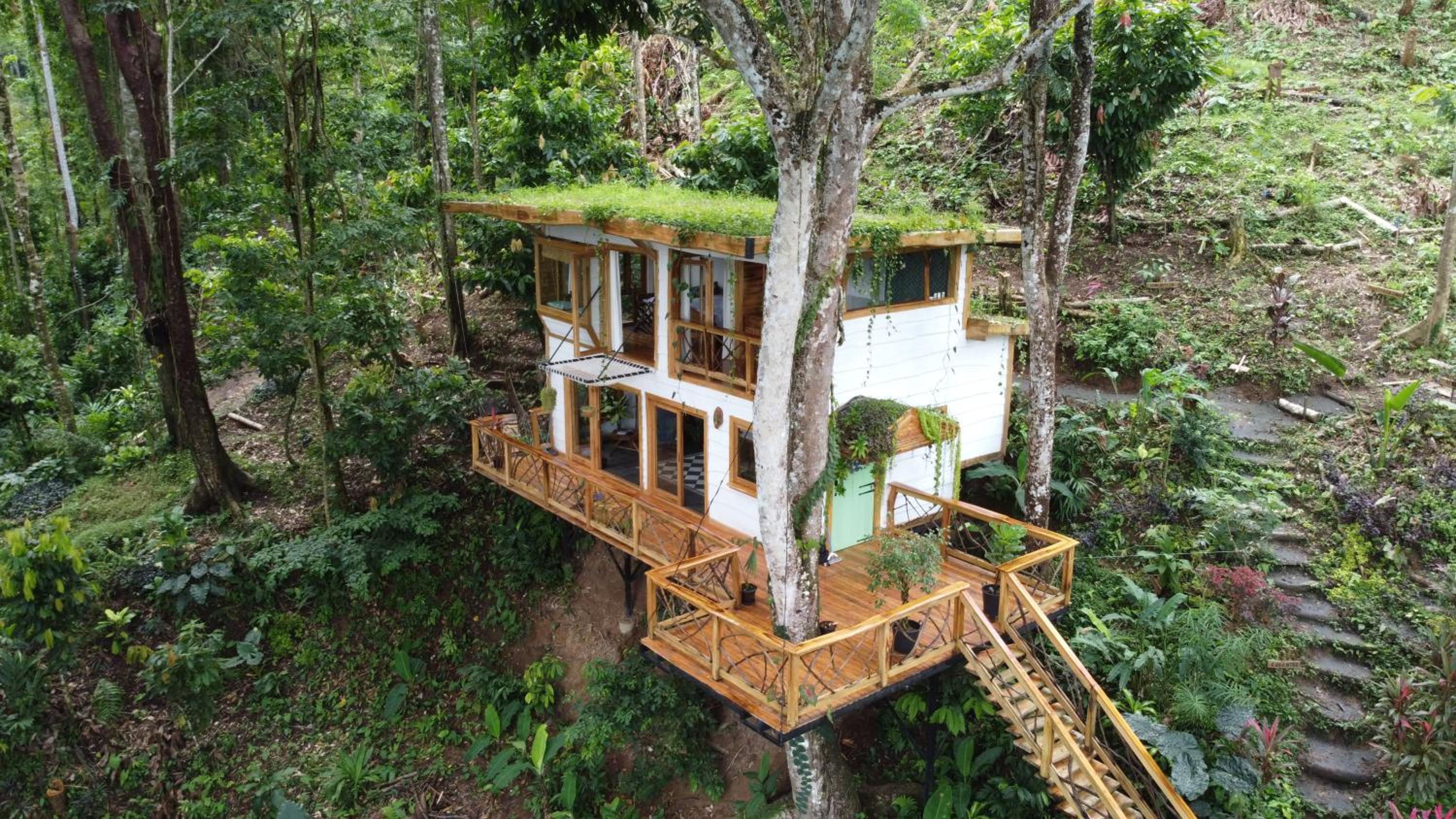 Jungle Spirit Treehouse