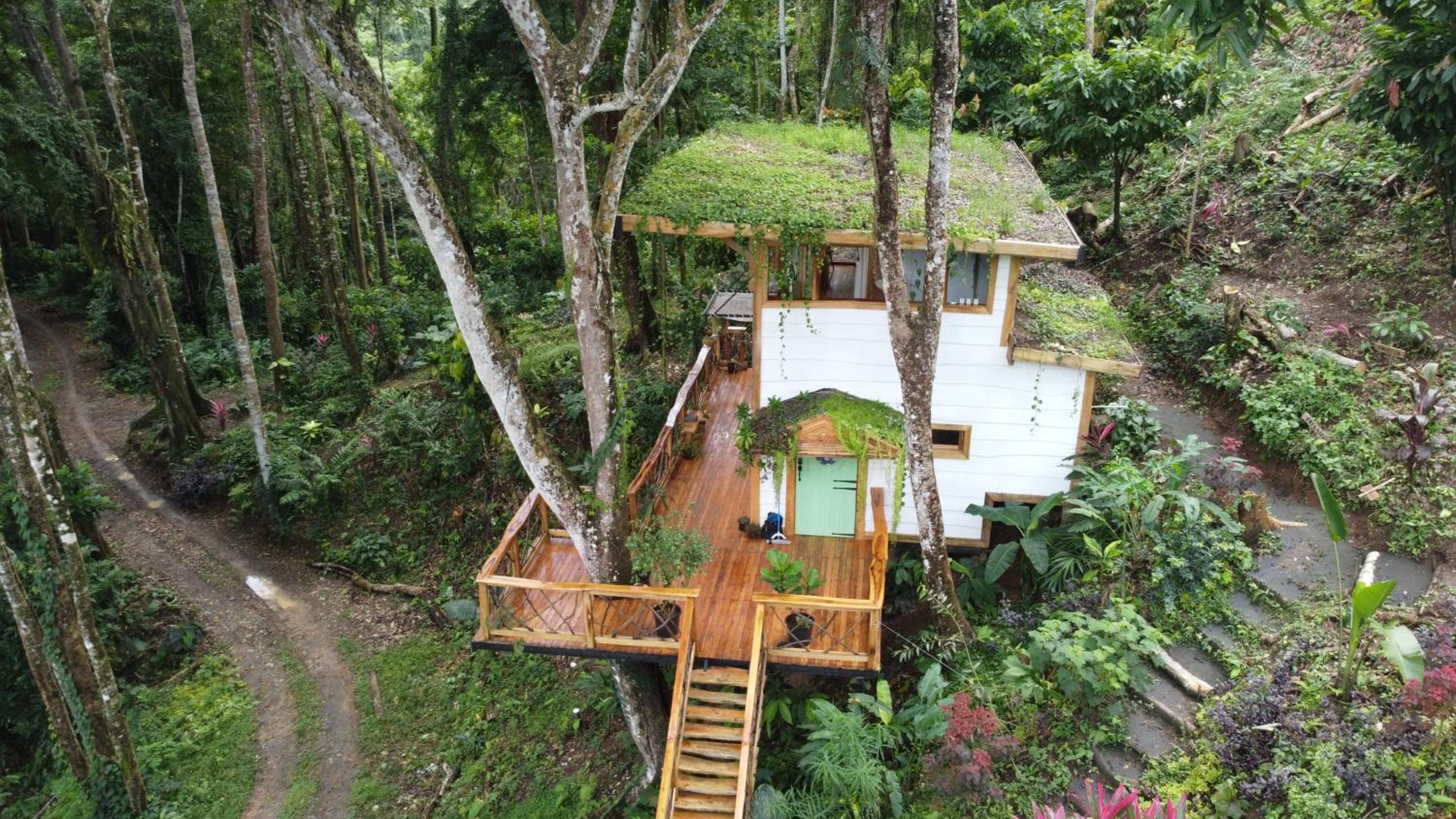Jungle Spirit Treehouse