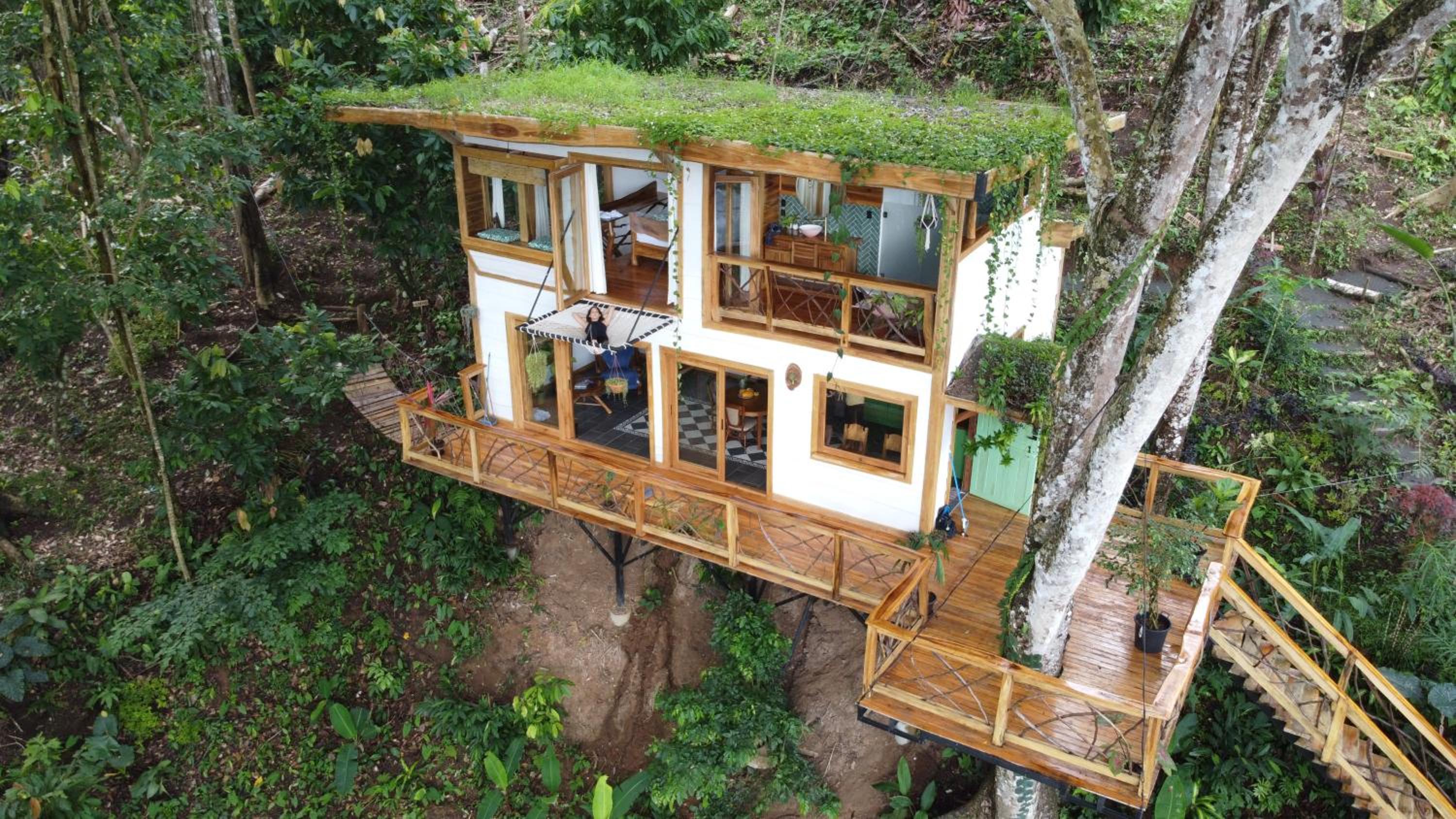 Jungle Spirit Treehouse