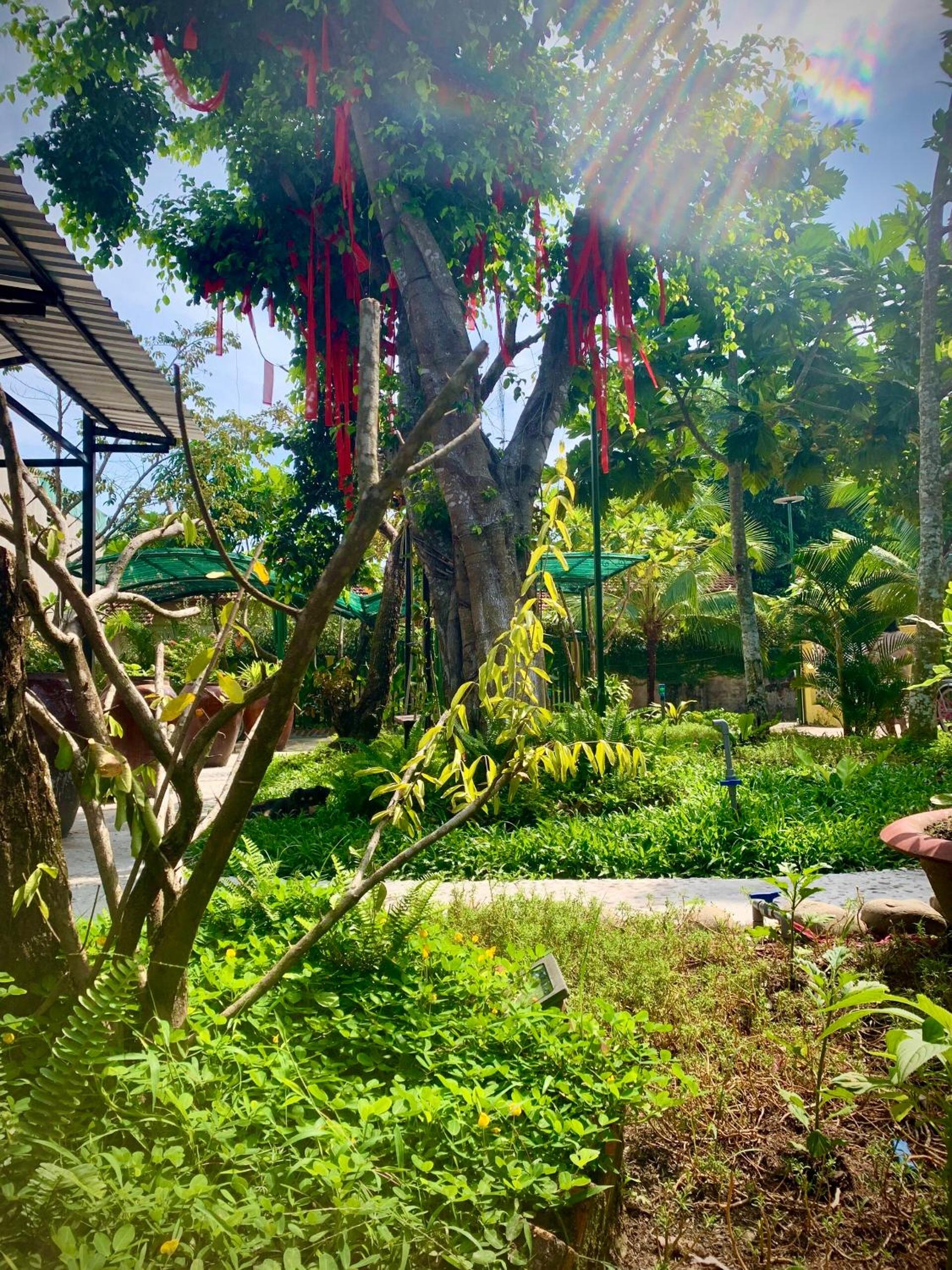 Song Ngư Riverside Homestay view 4