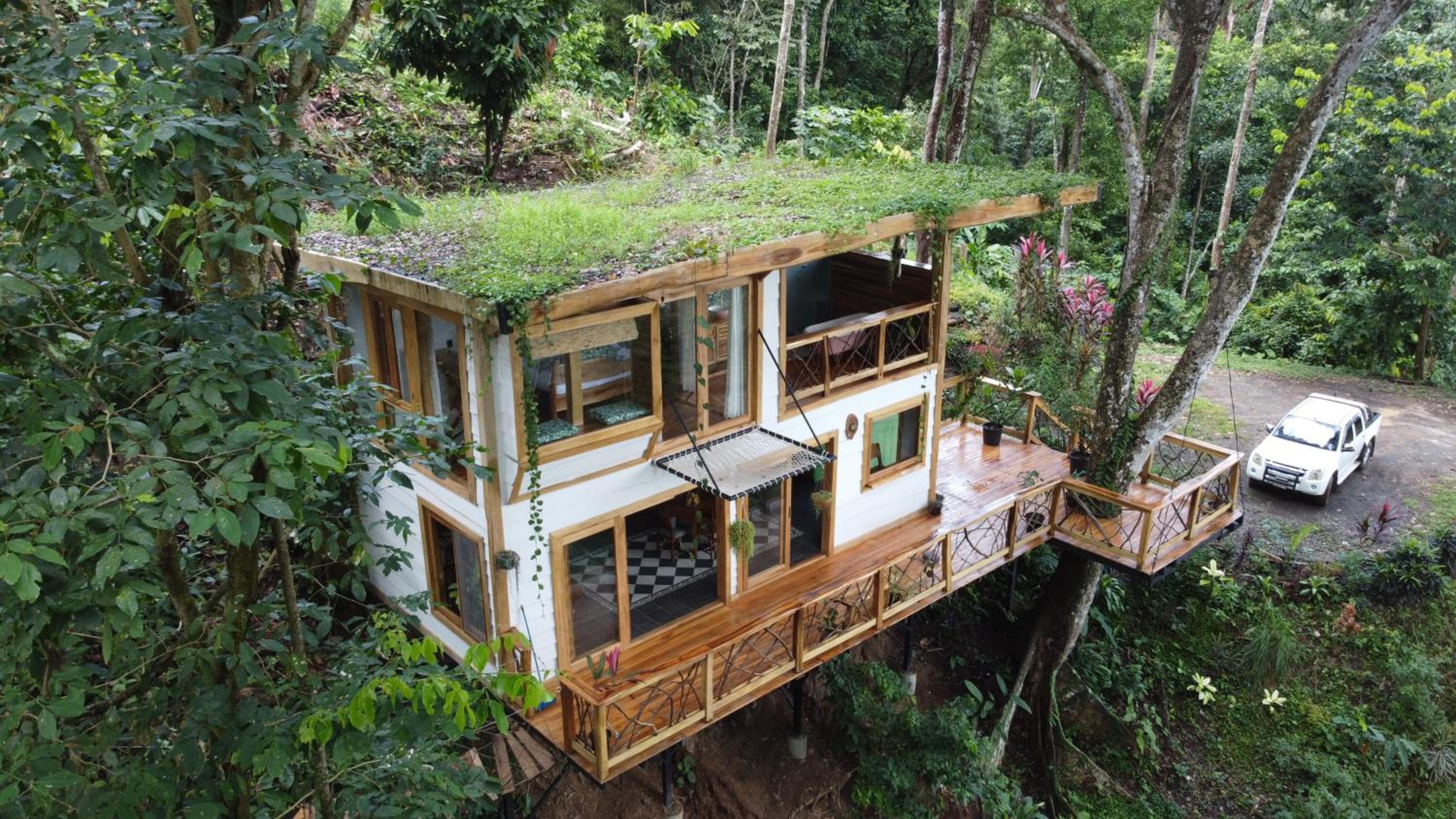 Jungle Spirit Treehouse