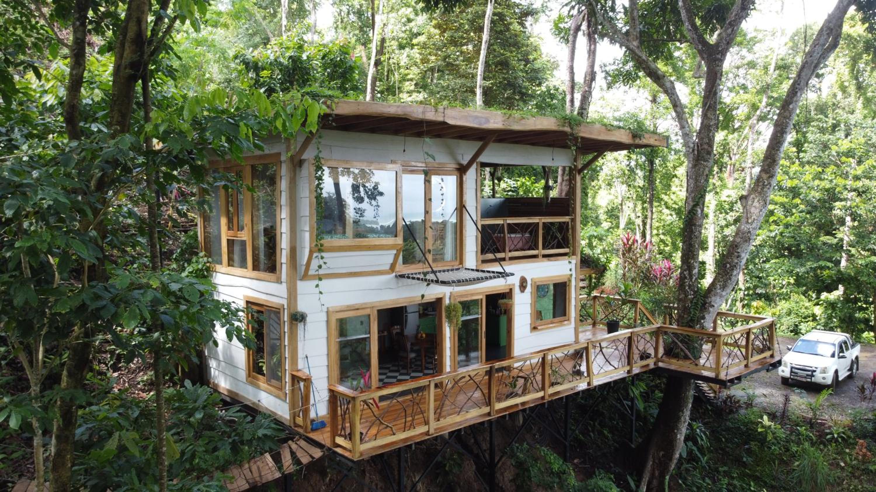 Jungle Spirit Treehouse