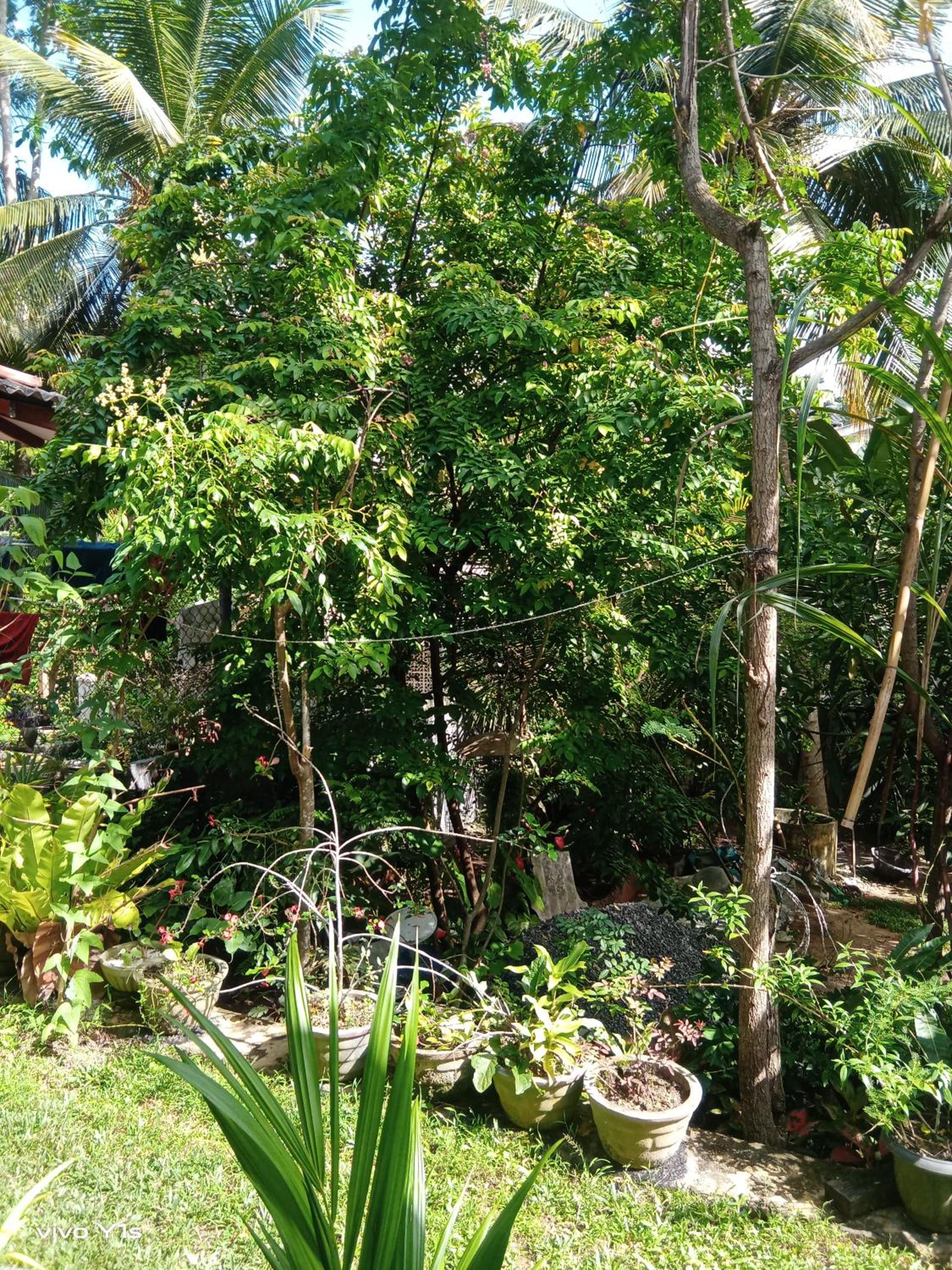 Step House