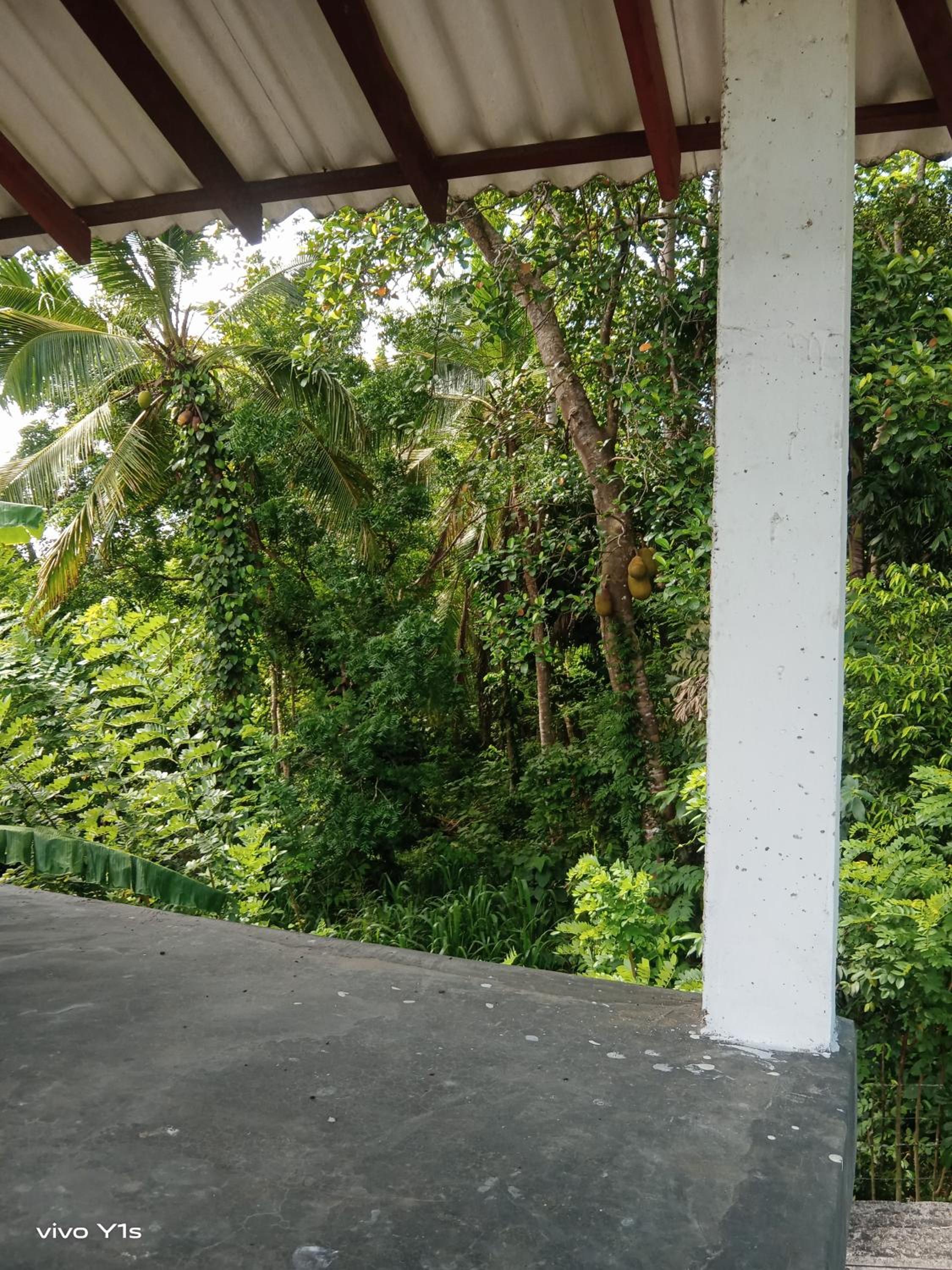 Step House