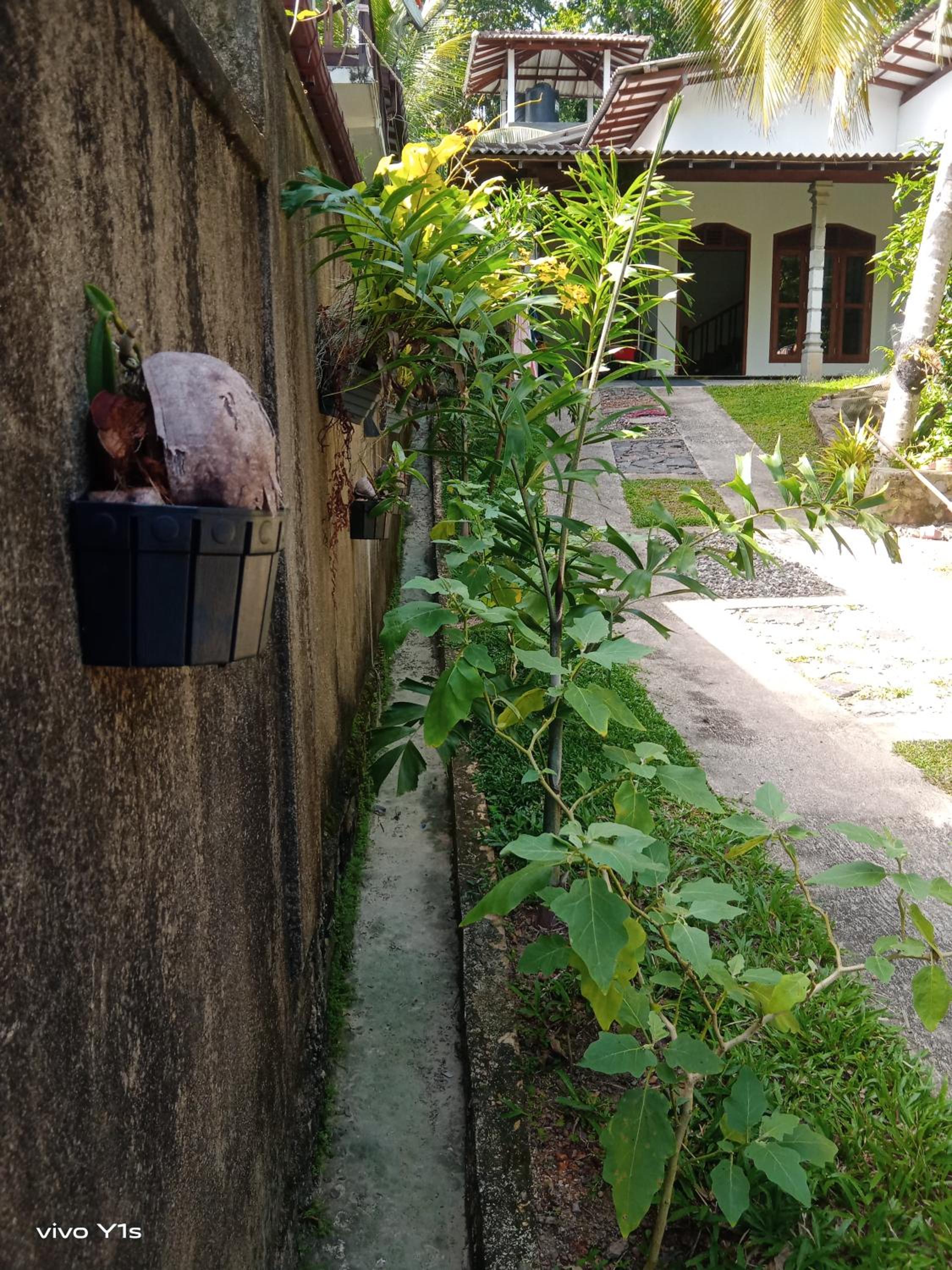 Step House