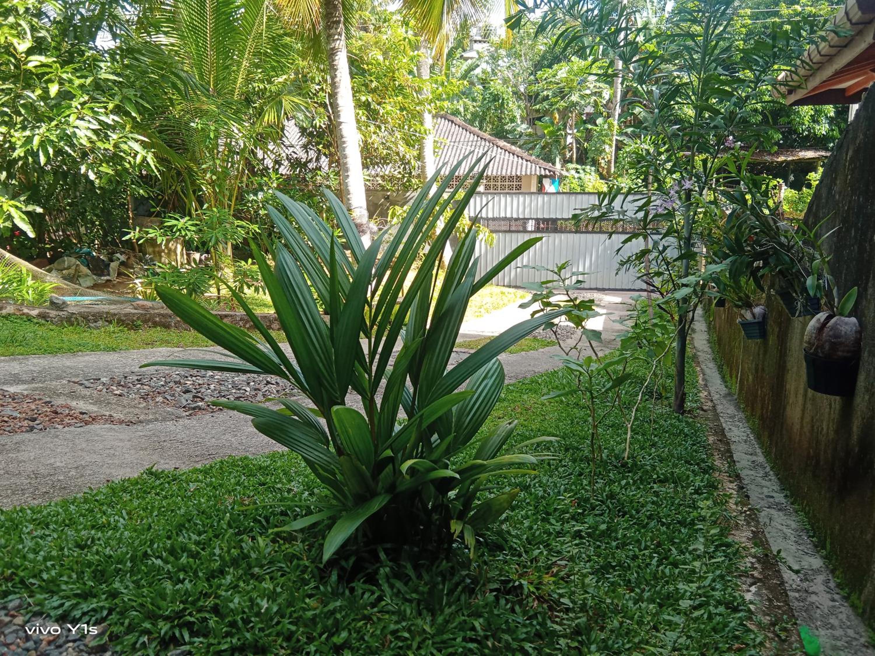 Step House