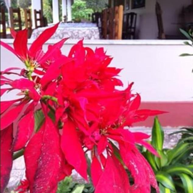 Hospedaria Abbud & Fernandez