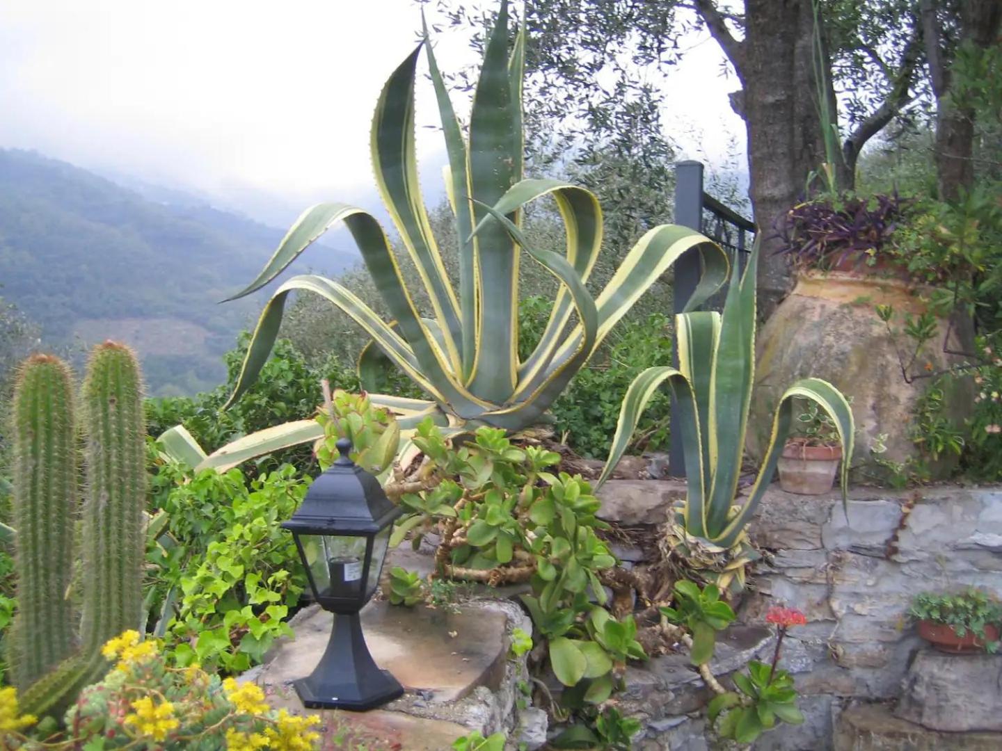 Casa Camilla view 5
