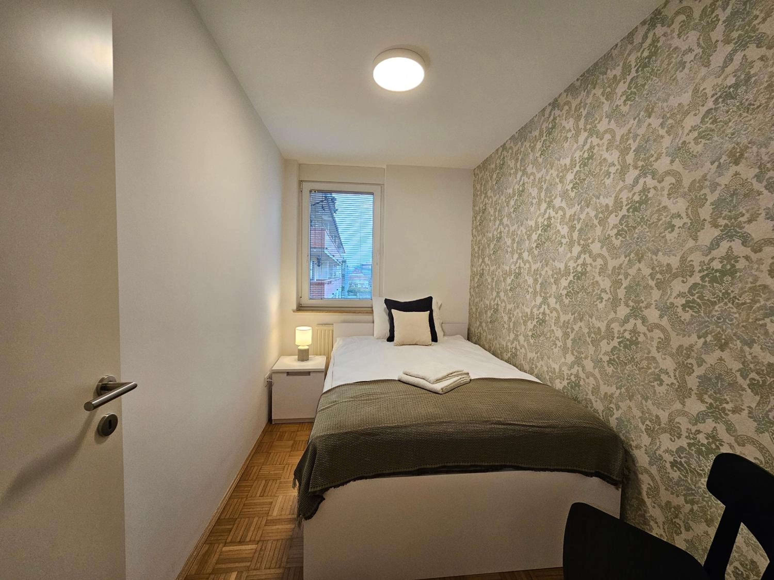 Ljubljana Central Suite Martin in the City Center view 3
