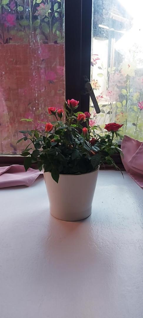 Photo 24