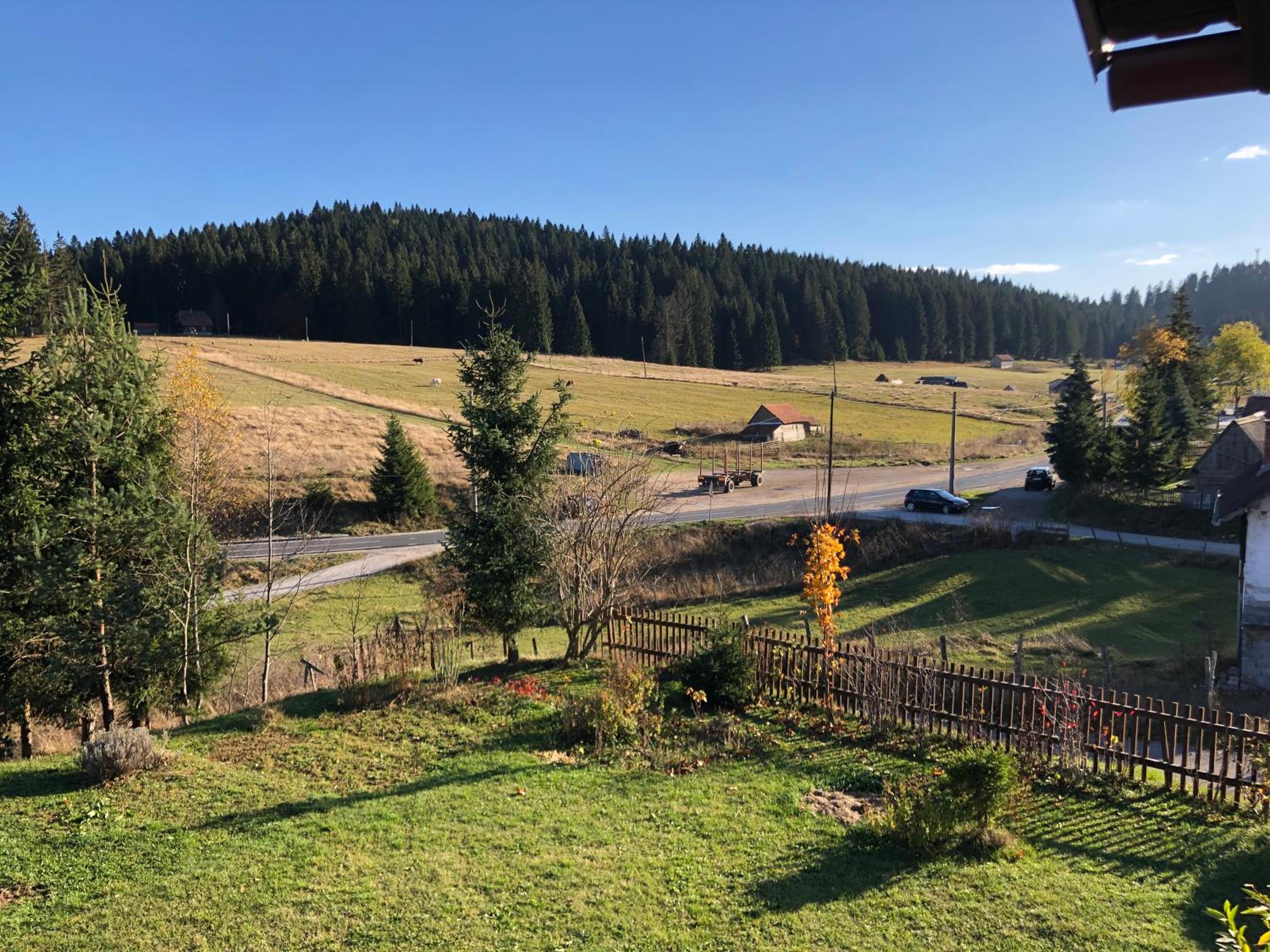 Mountain resort house - Planinska vikendica