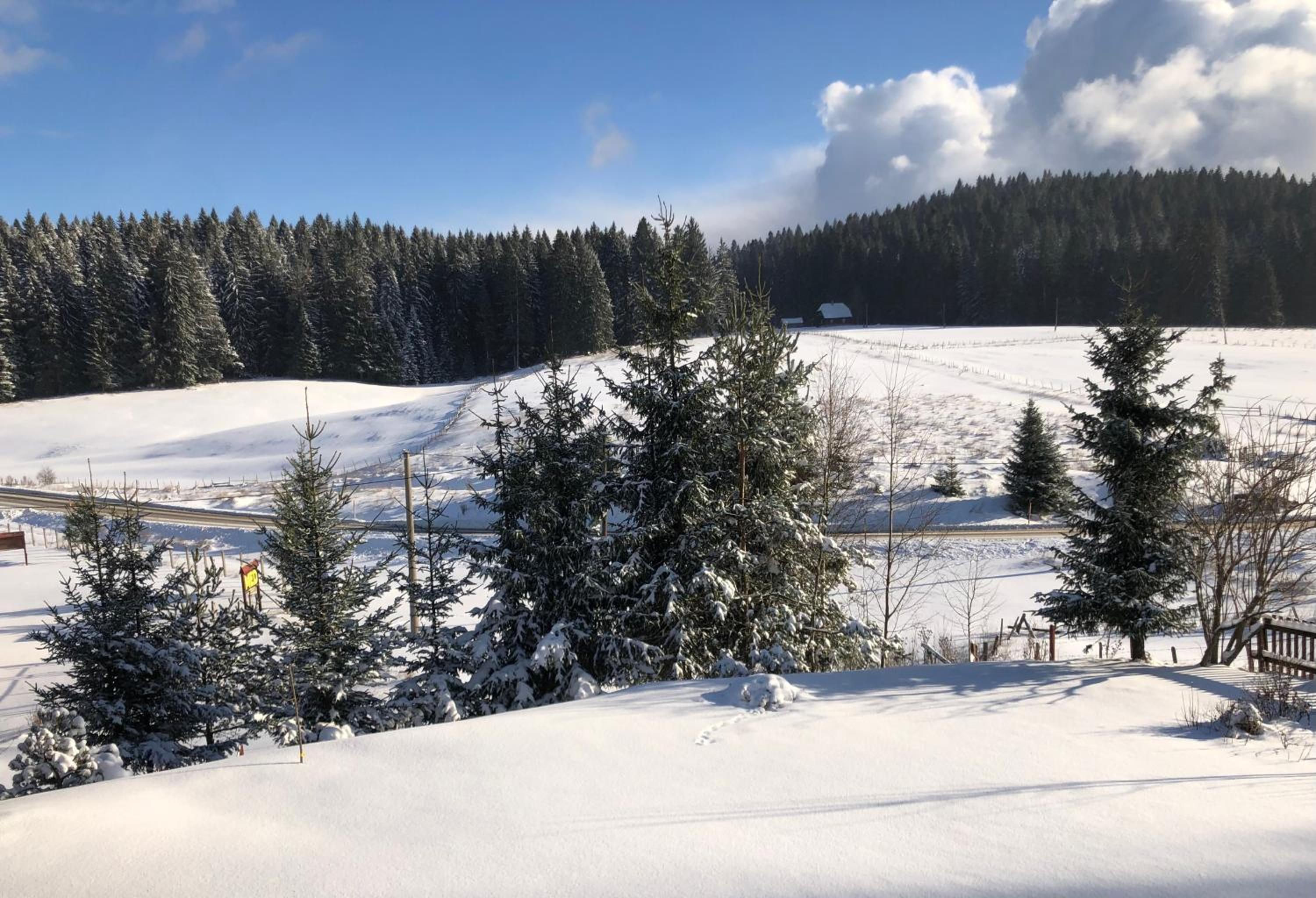 Mountain resort house - Planinska vikendica