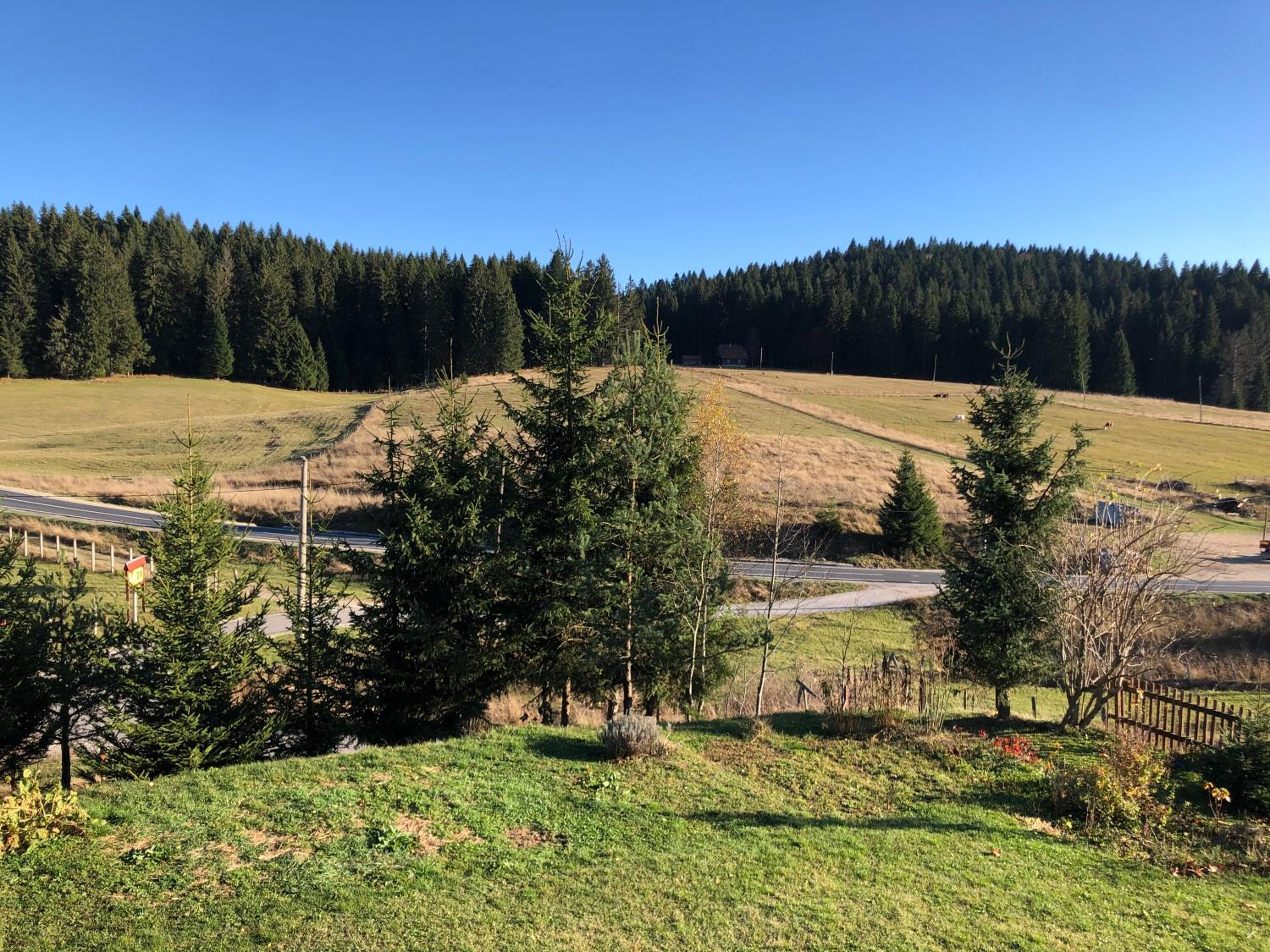 Mountain resort house - Planinska vikendica