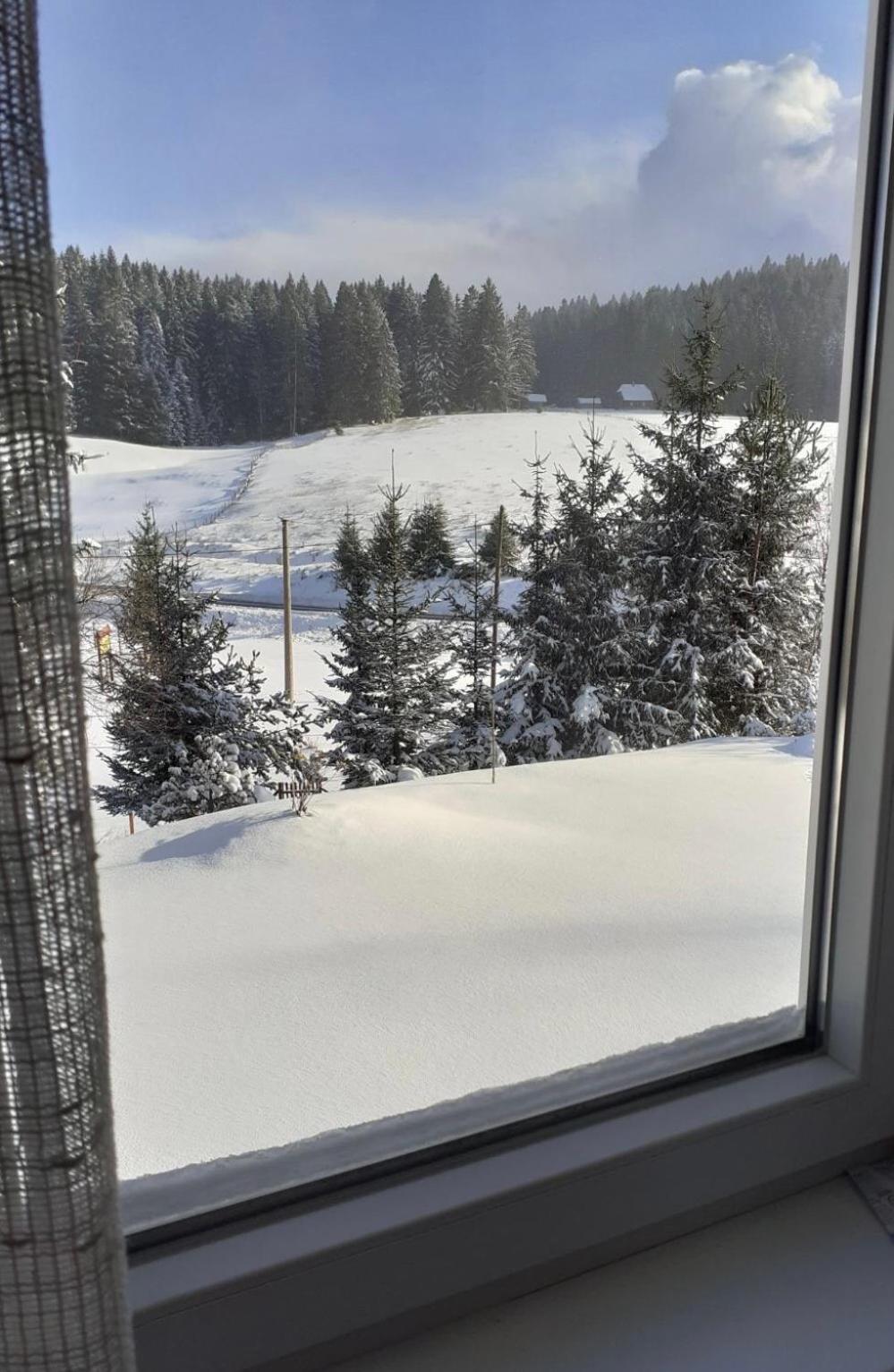 Mountain resort house - Planinska vikendica