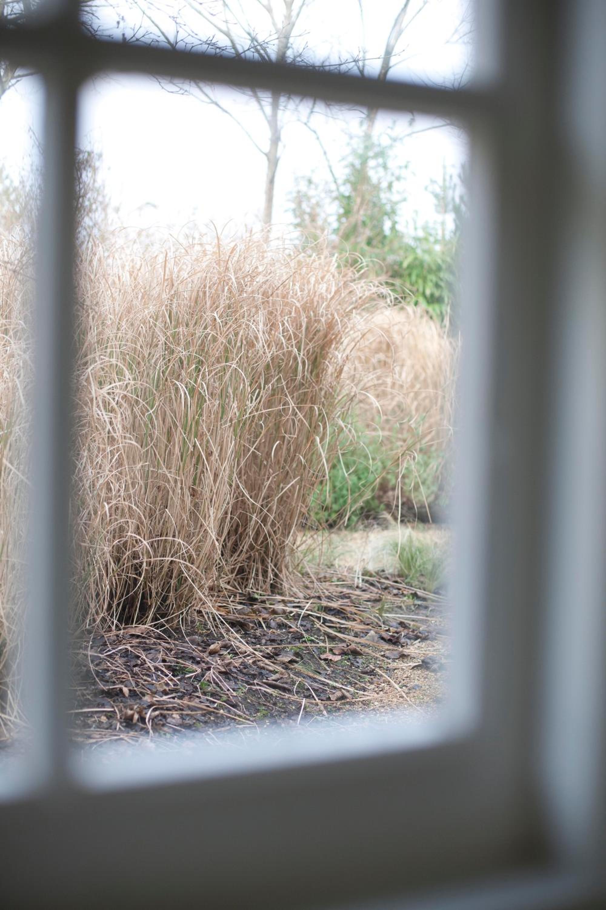 The Lodge: Adorable, Romantic Thatched Cottage