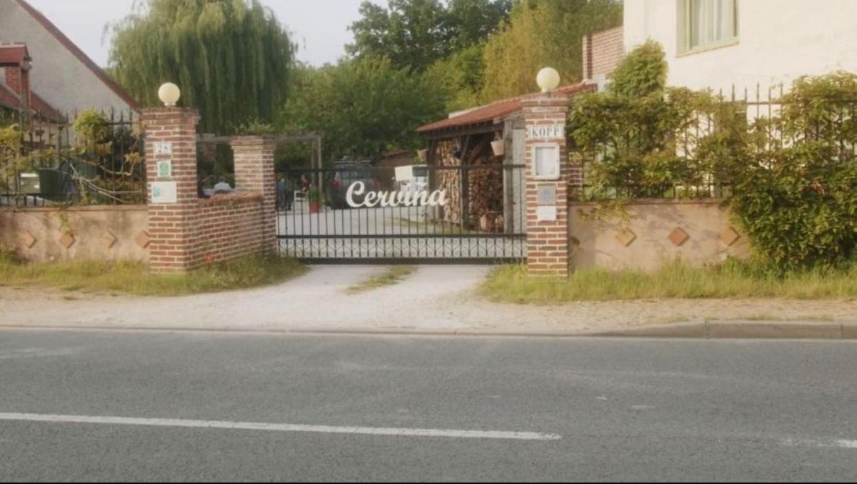 Chambres et Table d'hotes Cervina - Property Image 16