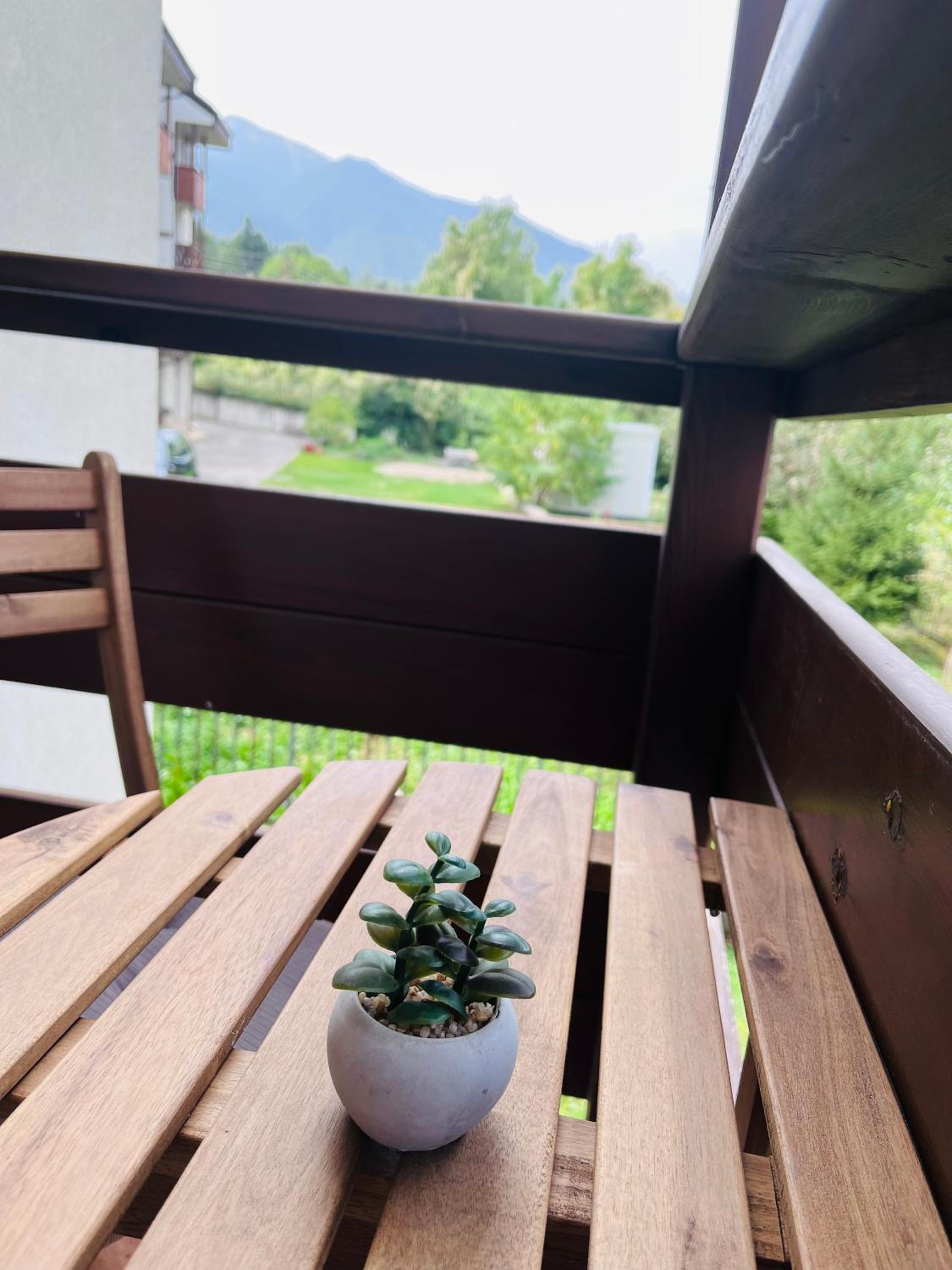 Mountain Cedar Pine 1 BR Apt near Ski Gondola