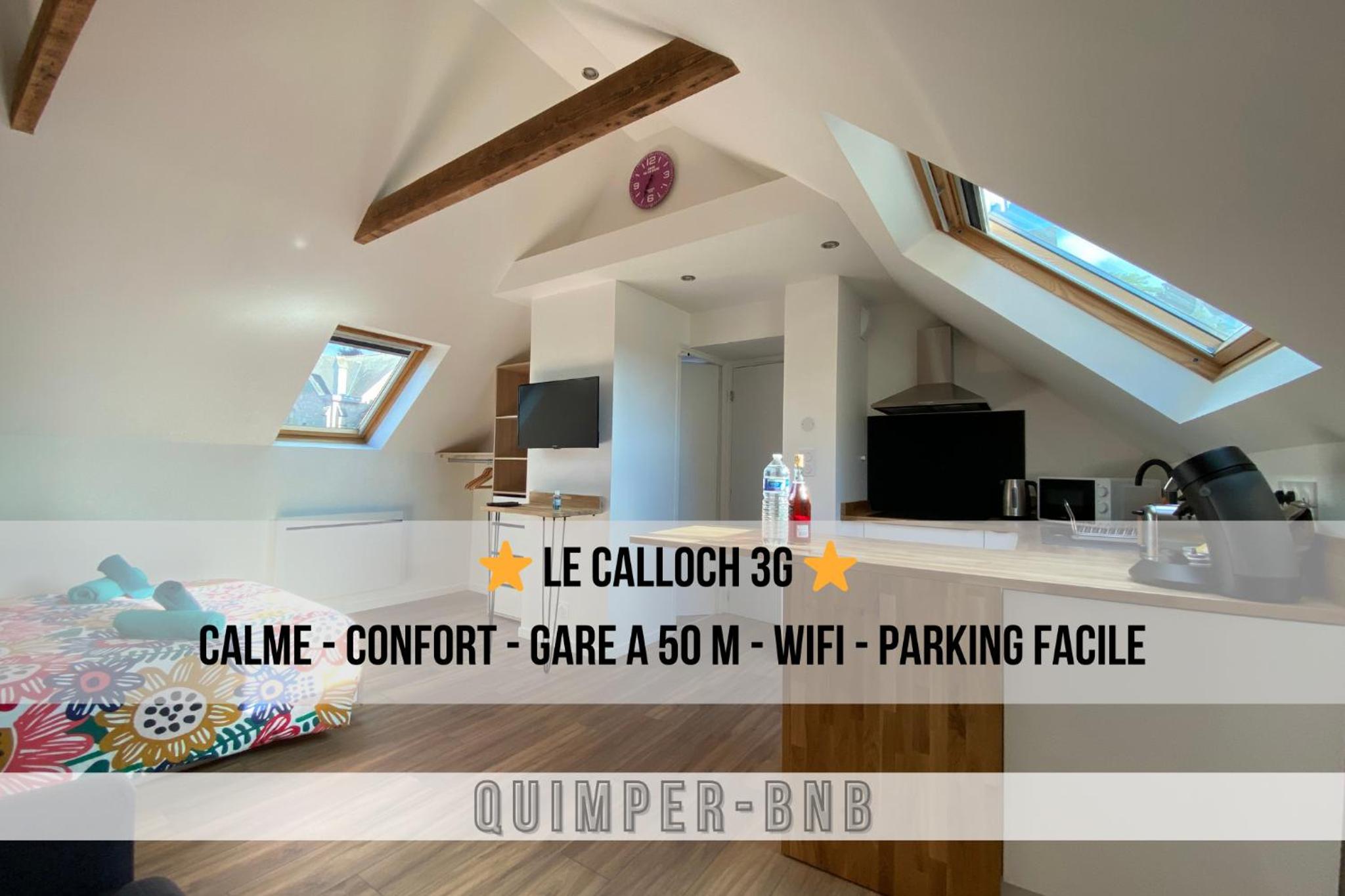 Studio cosy - renove - calme - 3 personnes - proche gare et centre historique
