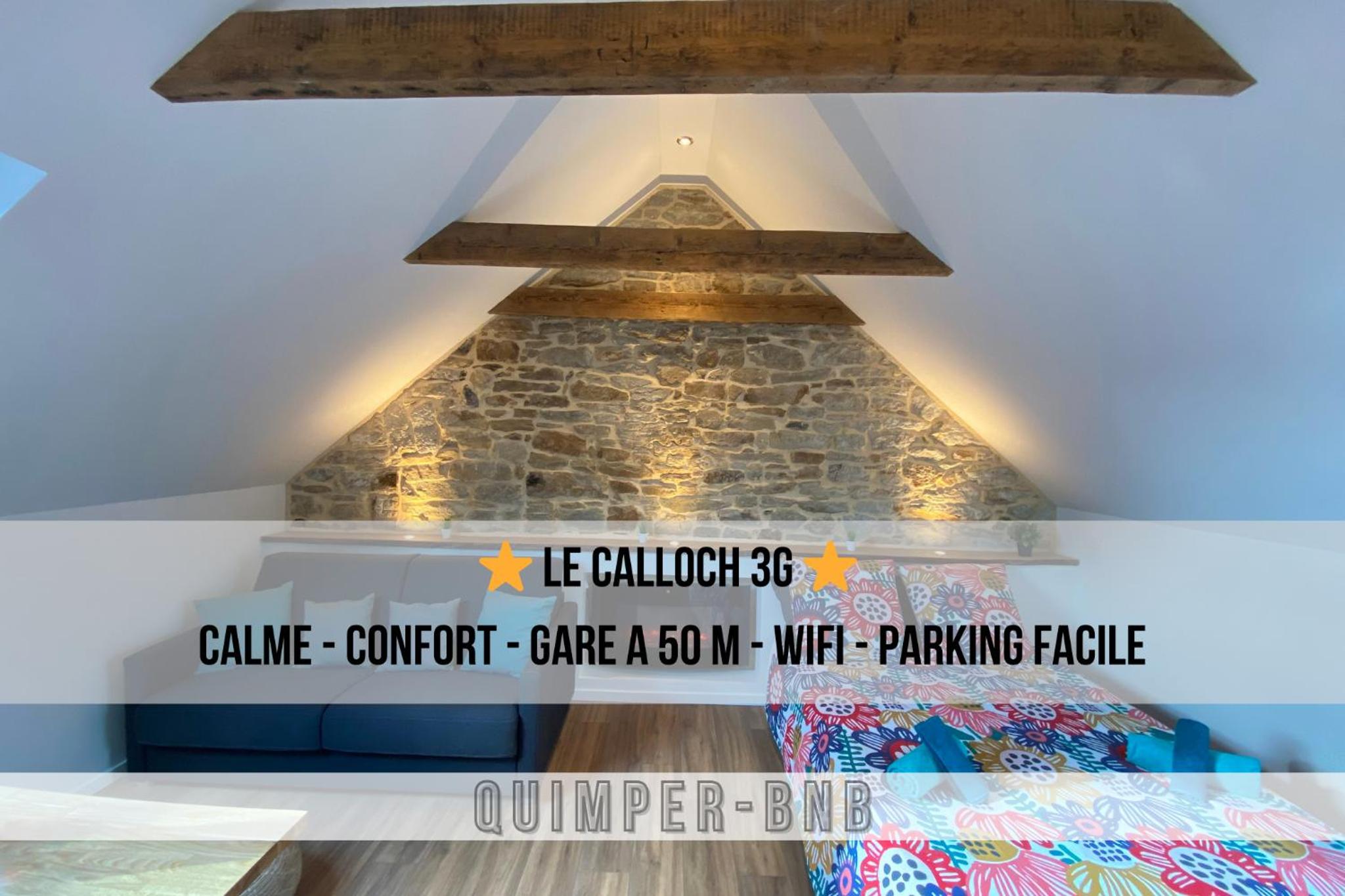 Studio cosy - renove - calme - 3 personnes - proche gare et centre historique