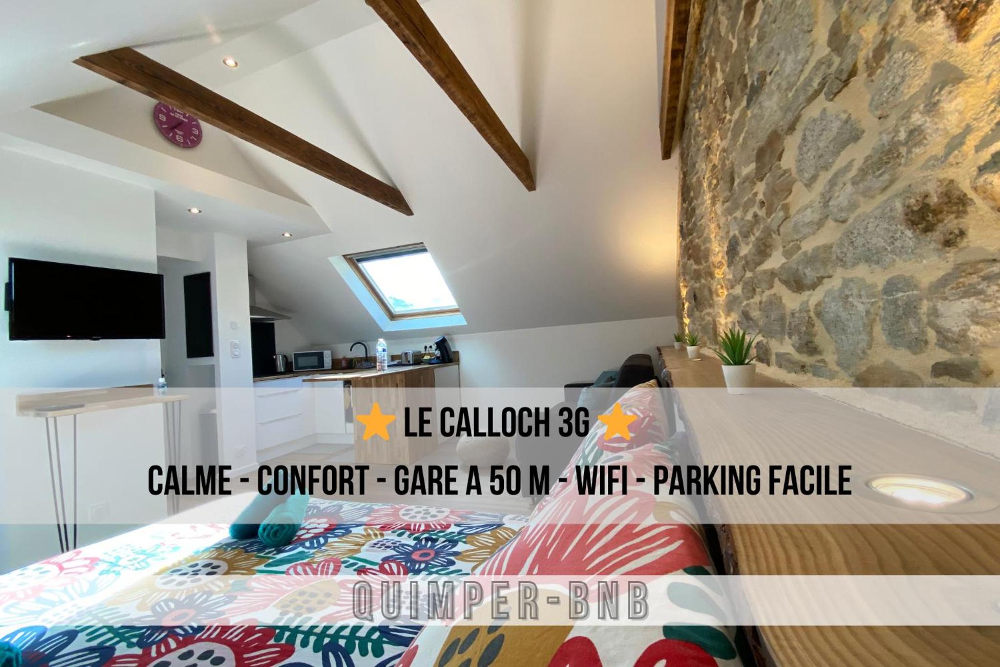 Studio cosy - renove - calme - 3 personnes - proche gare et centre historique