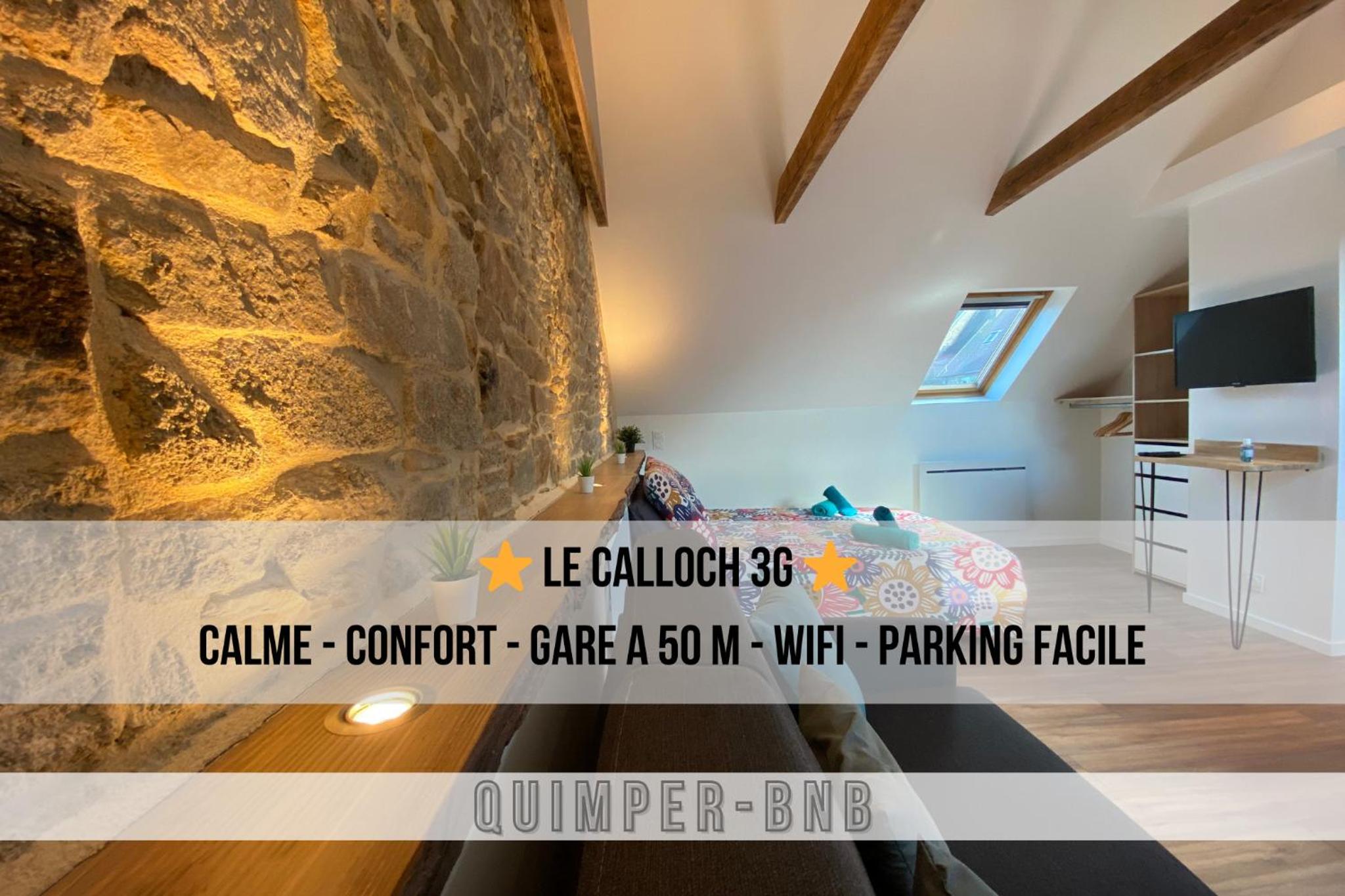 Studio cosy - renove - calme - 3 personnes - proche gare et centre historique