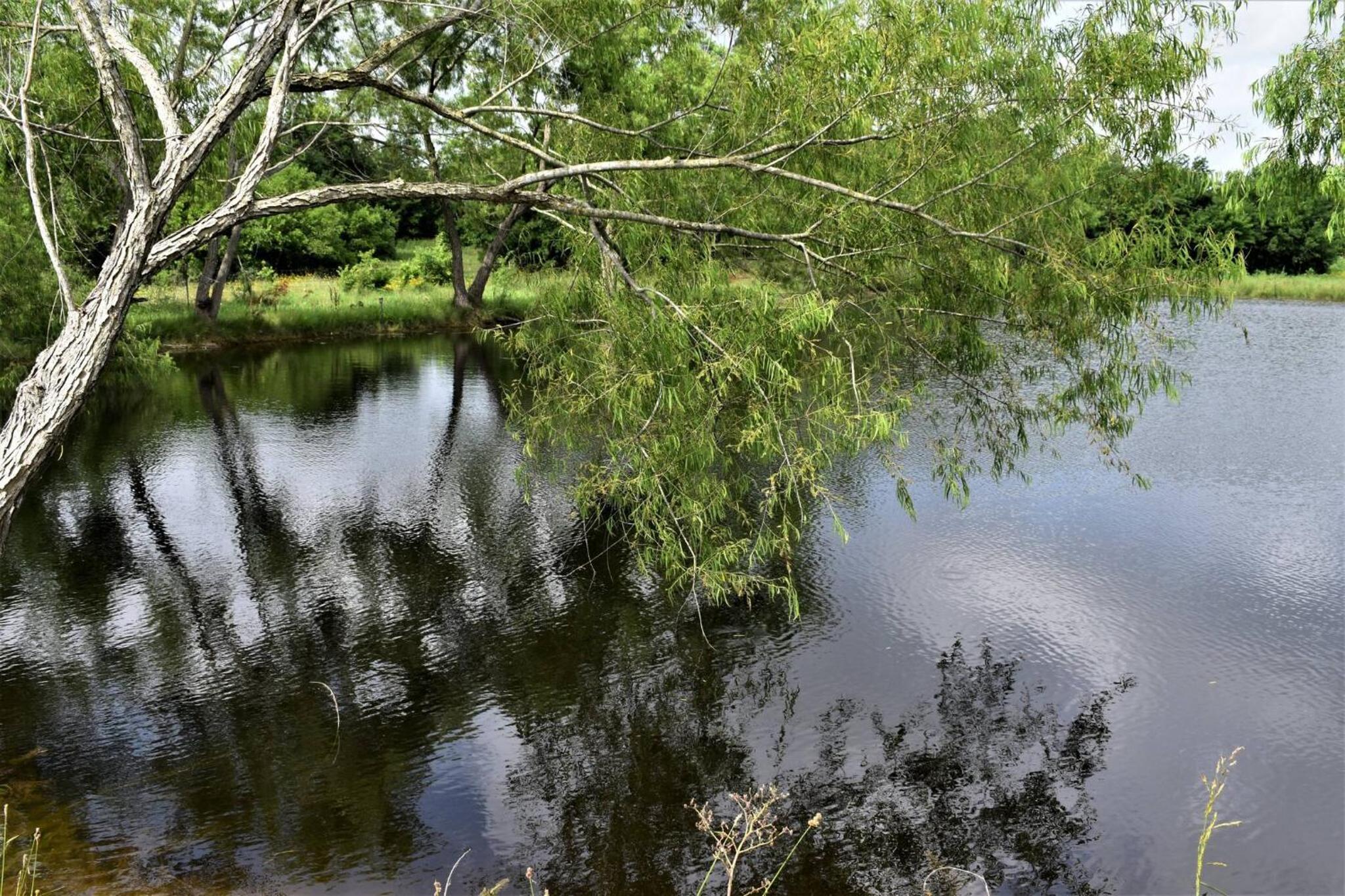 Photo 33