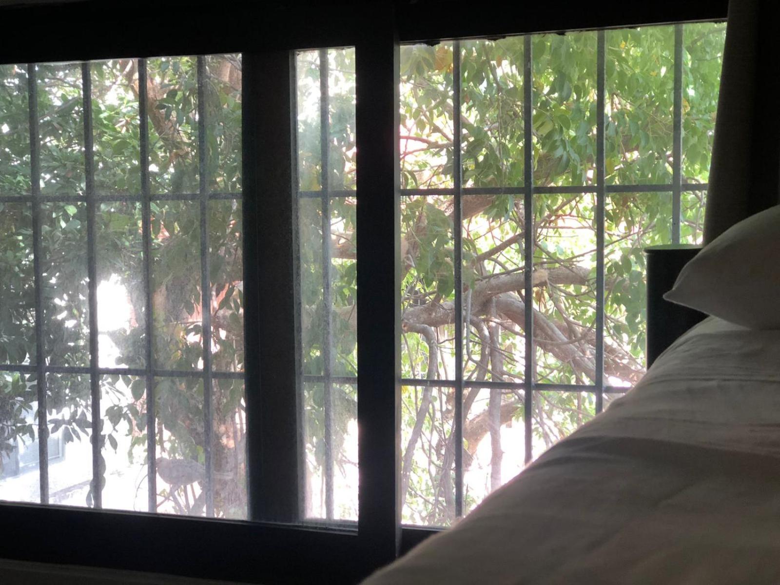 Naranjo Hostel