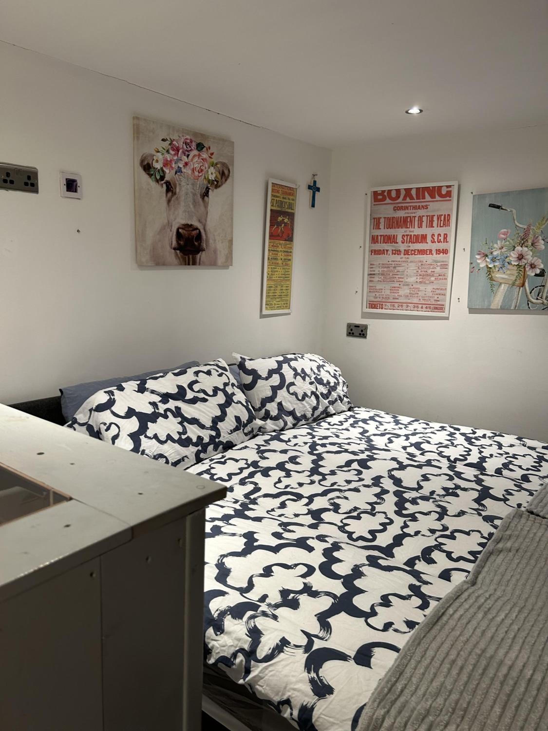 Pet-Friendly Open Plan Cabin in Dublin Sleeps 2