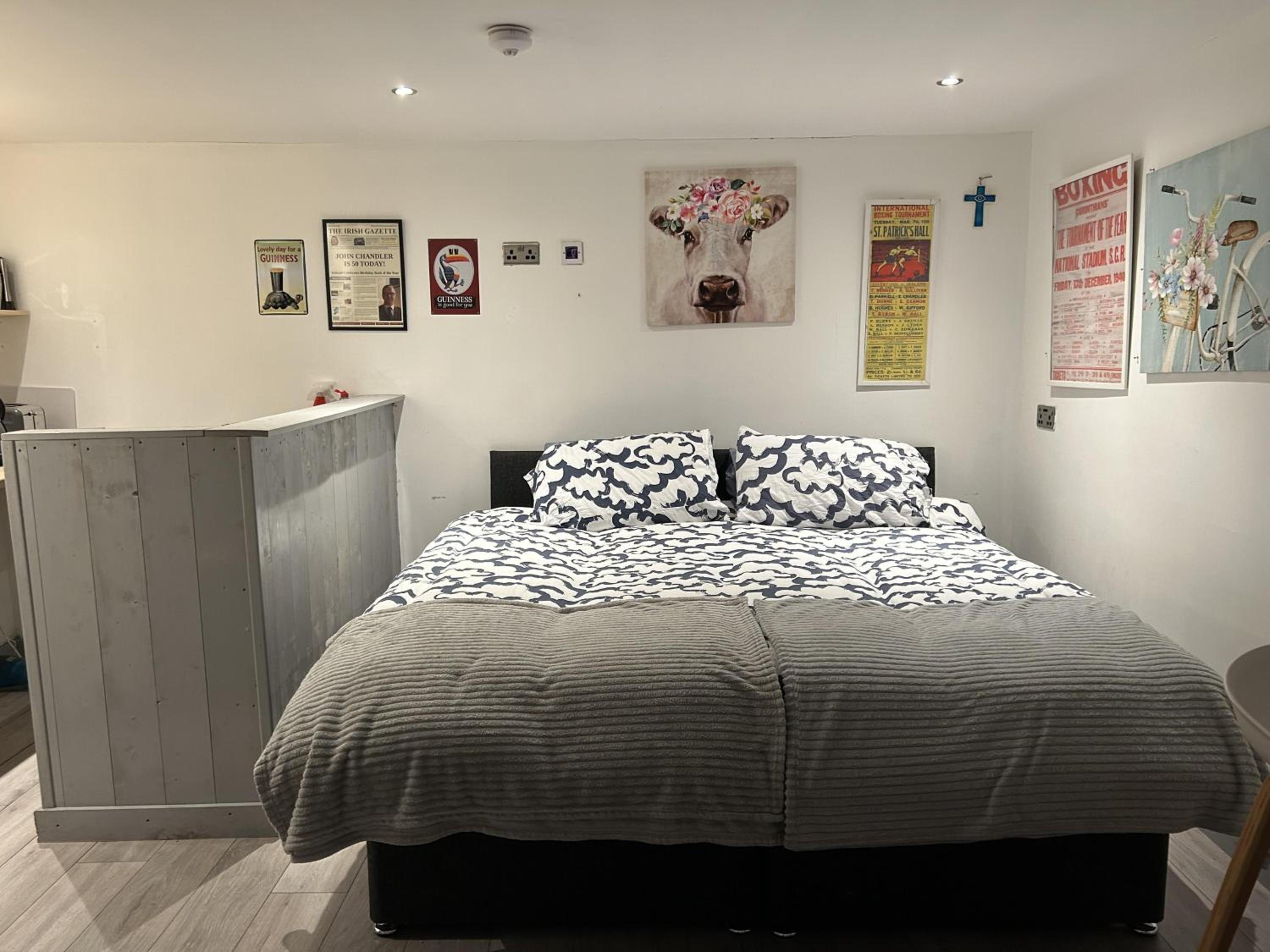 Pet-Friendly Open Plan Cabin in Dublin Sleeps 2