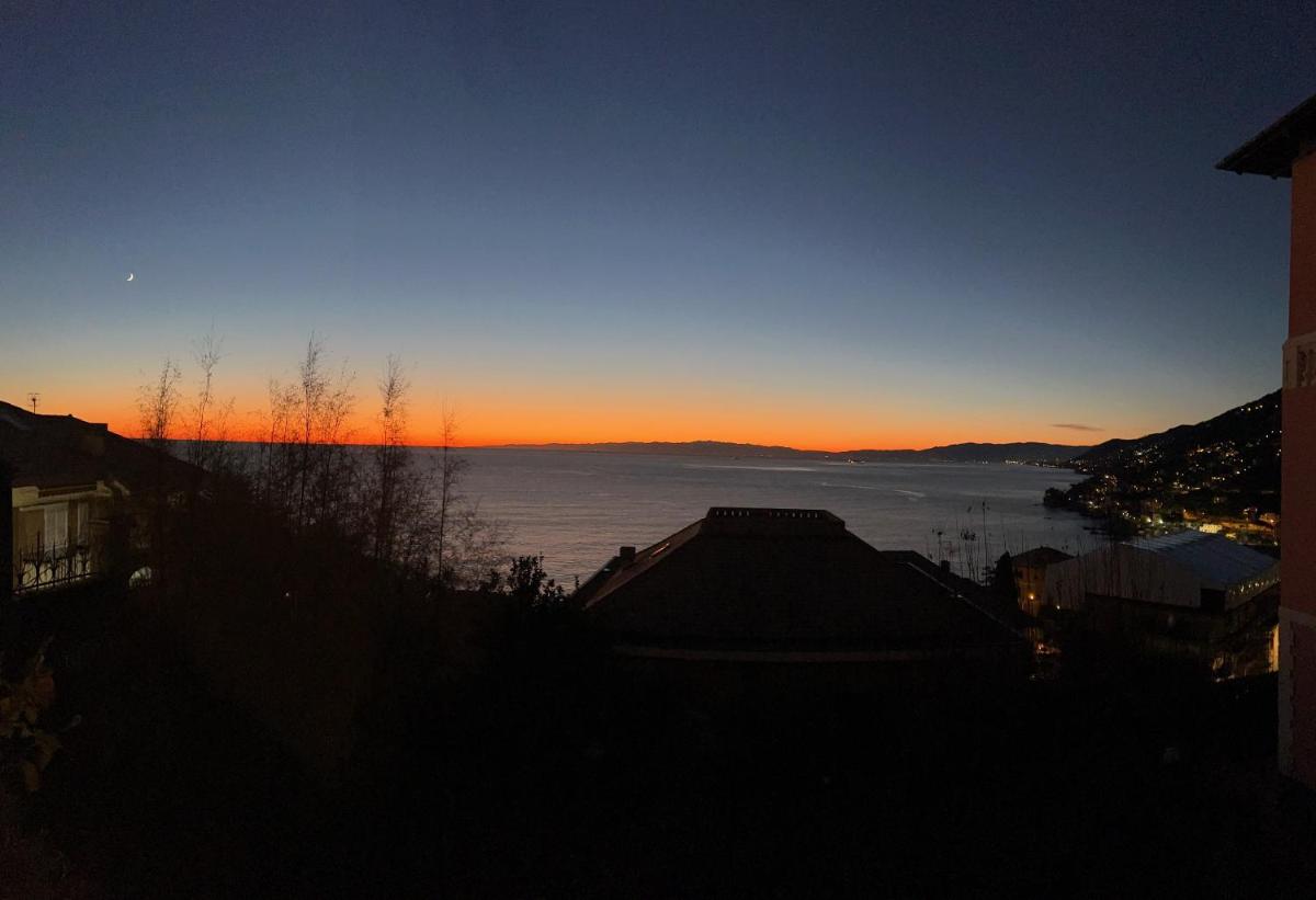 Photo 91