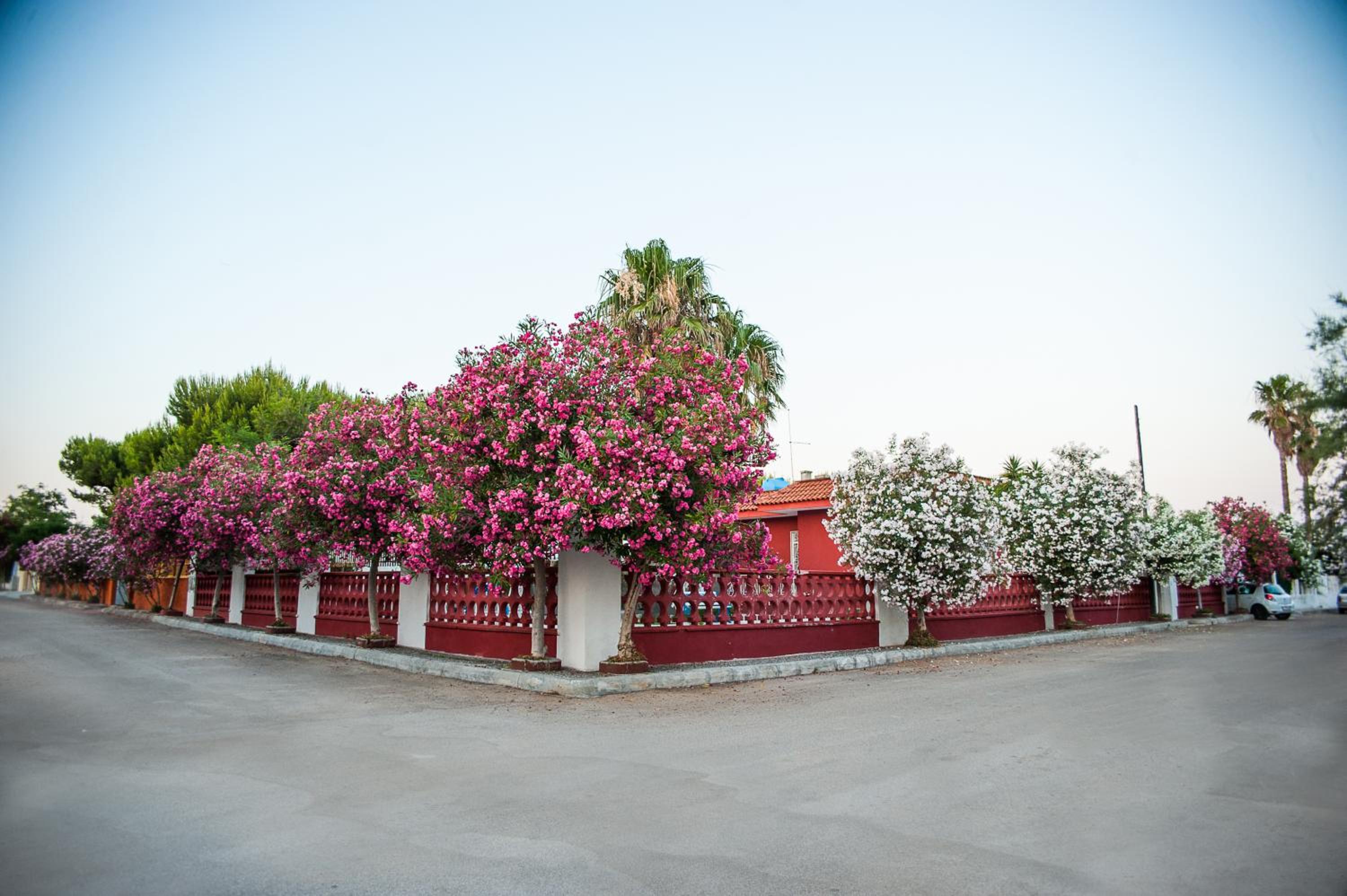 Villa Gisella view 5