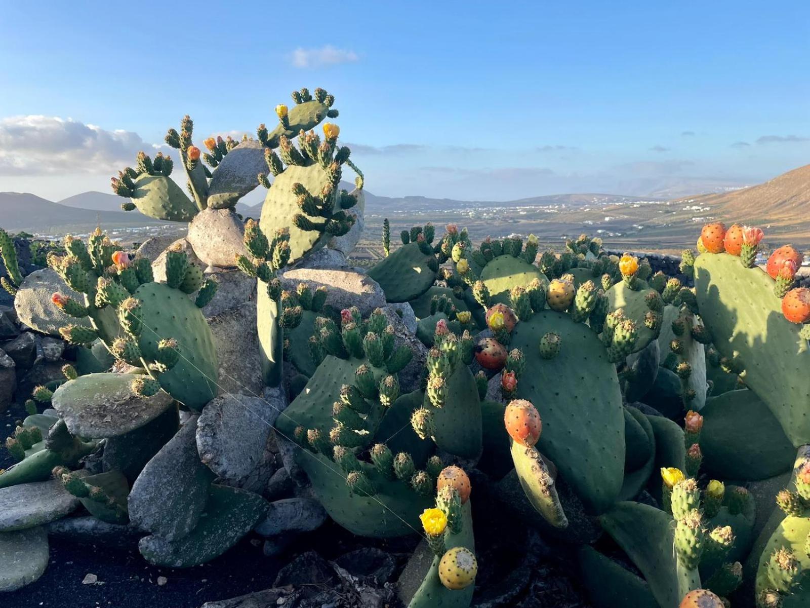 Ecofinca Aulaga
