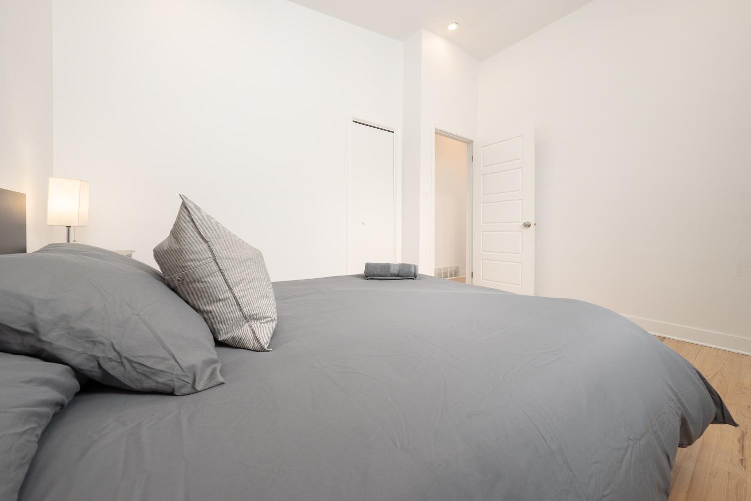 Contemporary renovated house in southshore MTL