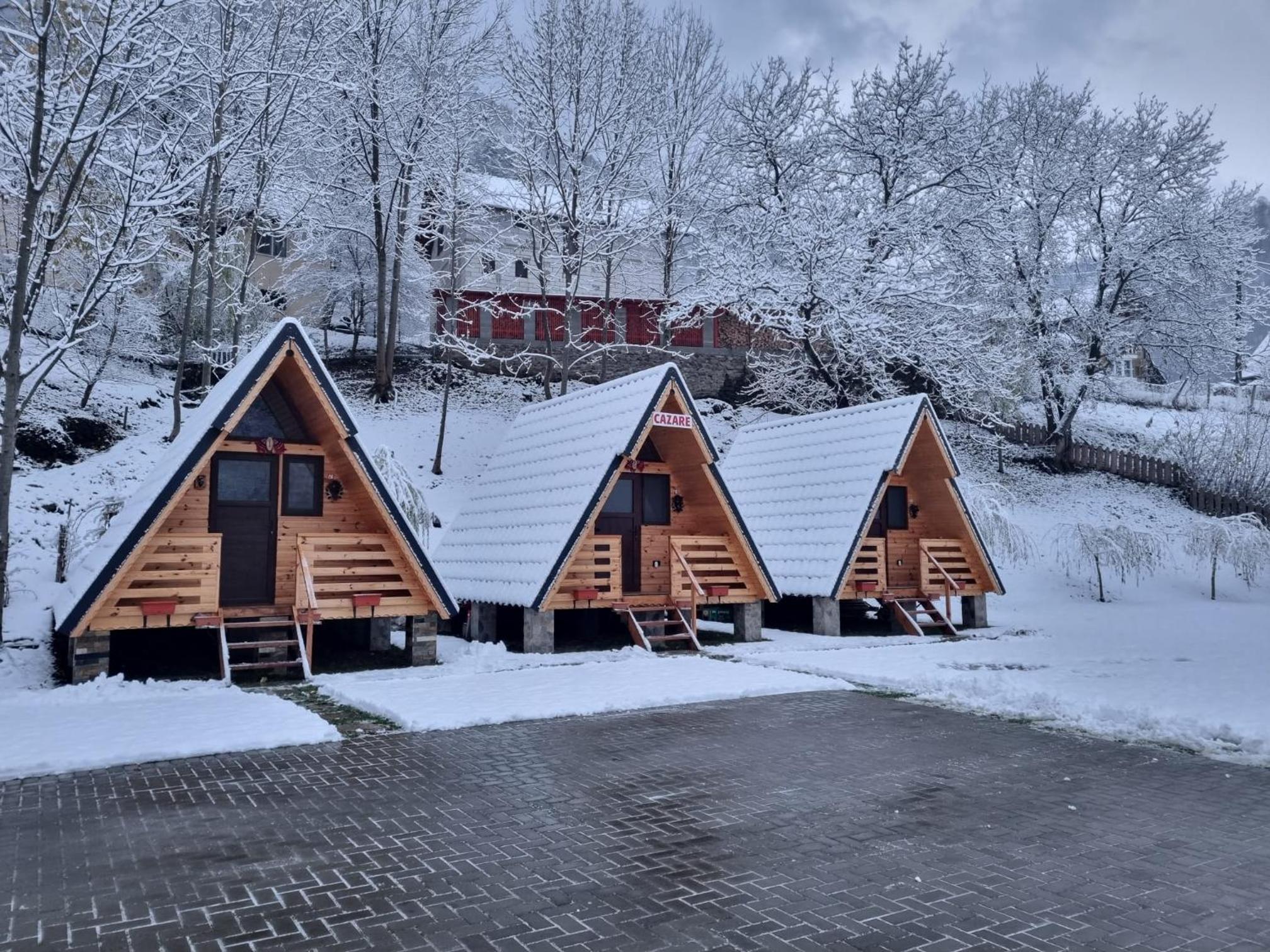 Căsuța - La Țanc view 2