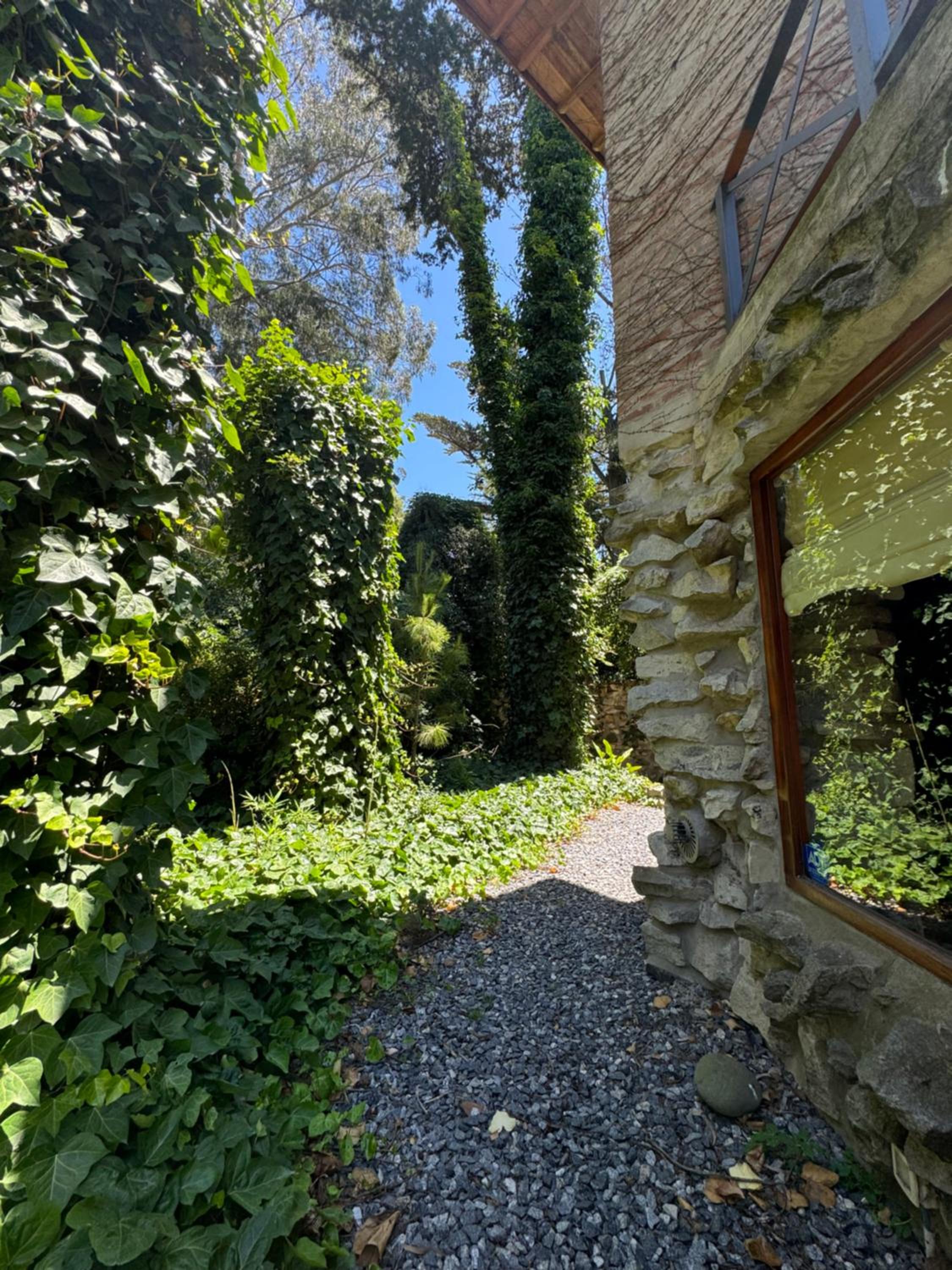 Cabañas Arehue