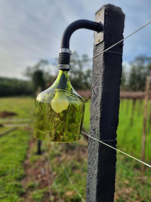 TinyWine House Vale dos Vinhedos - Cabana Chardonnay