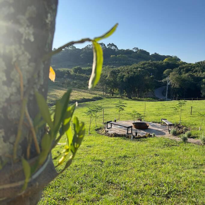 TinyWine House Vale dos Vinhedos - Cabana Chardonnay