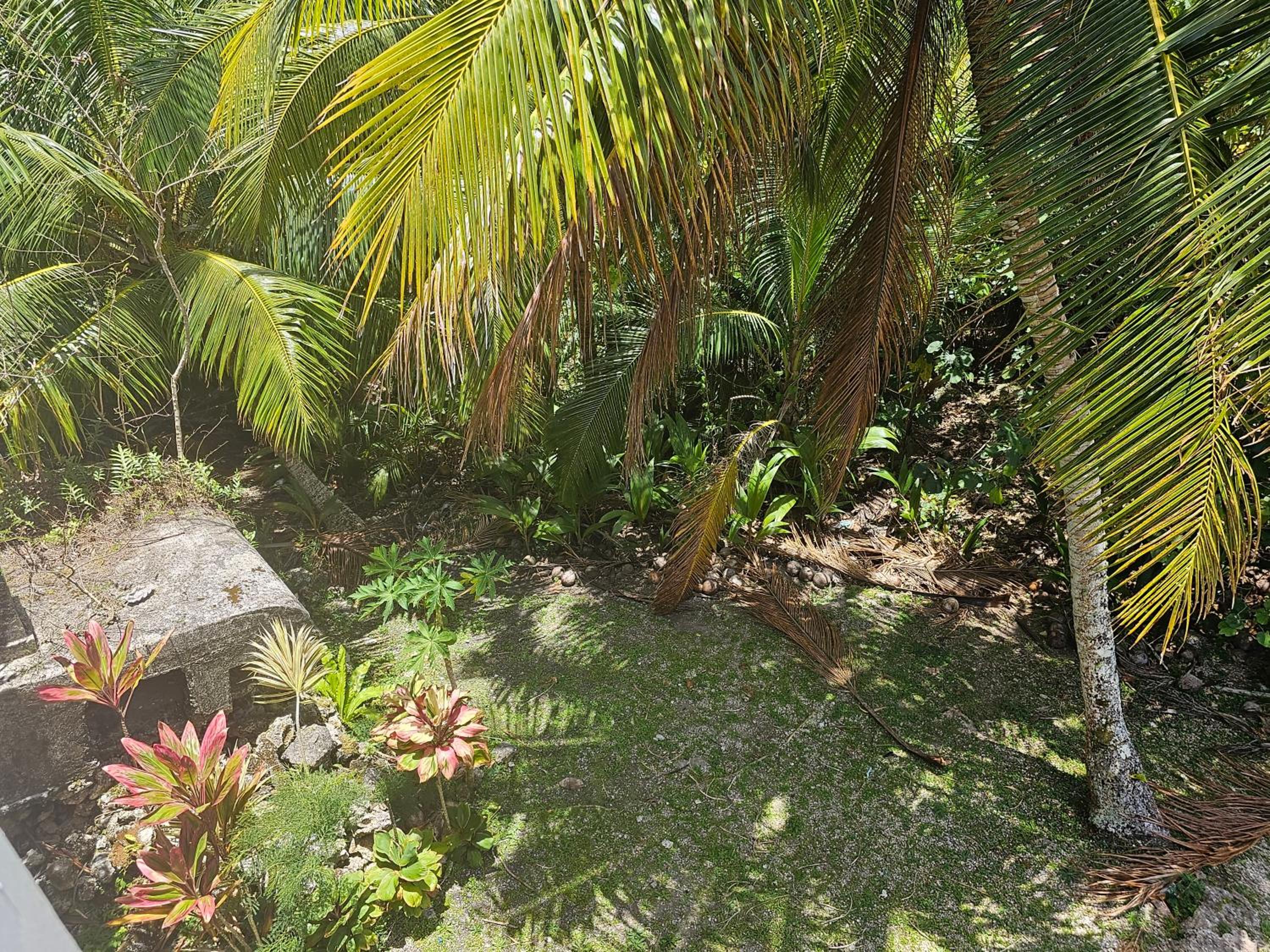 Photo 27
