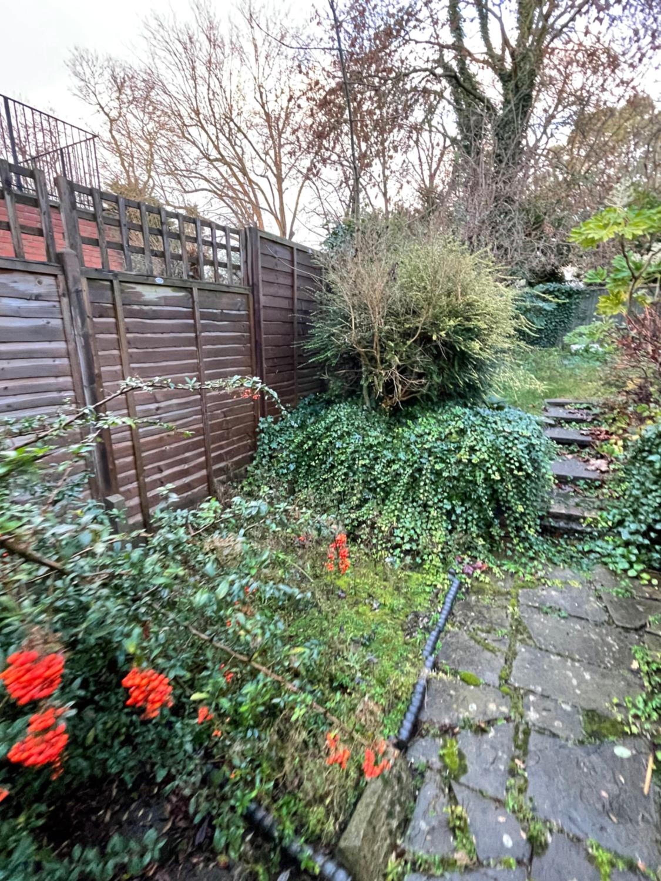 Spacious & Charming garden flat -Zone 2- Great for Central London access
