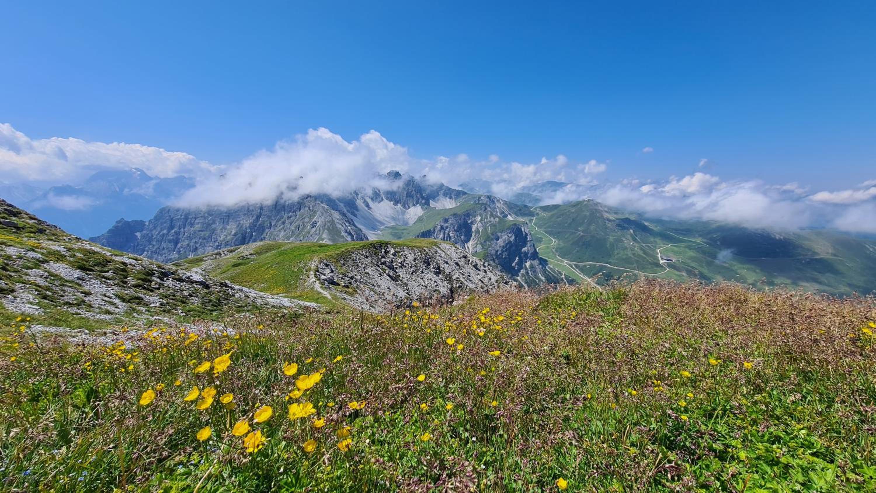 Gästehaus Landhaus Tyrol