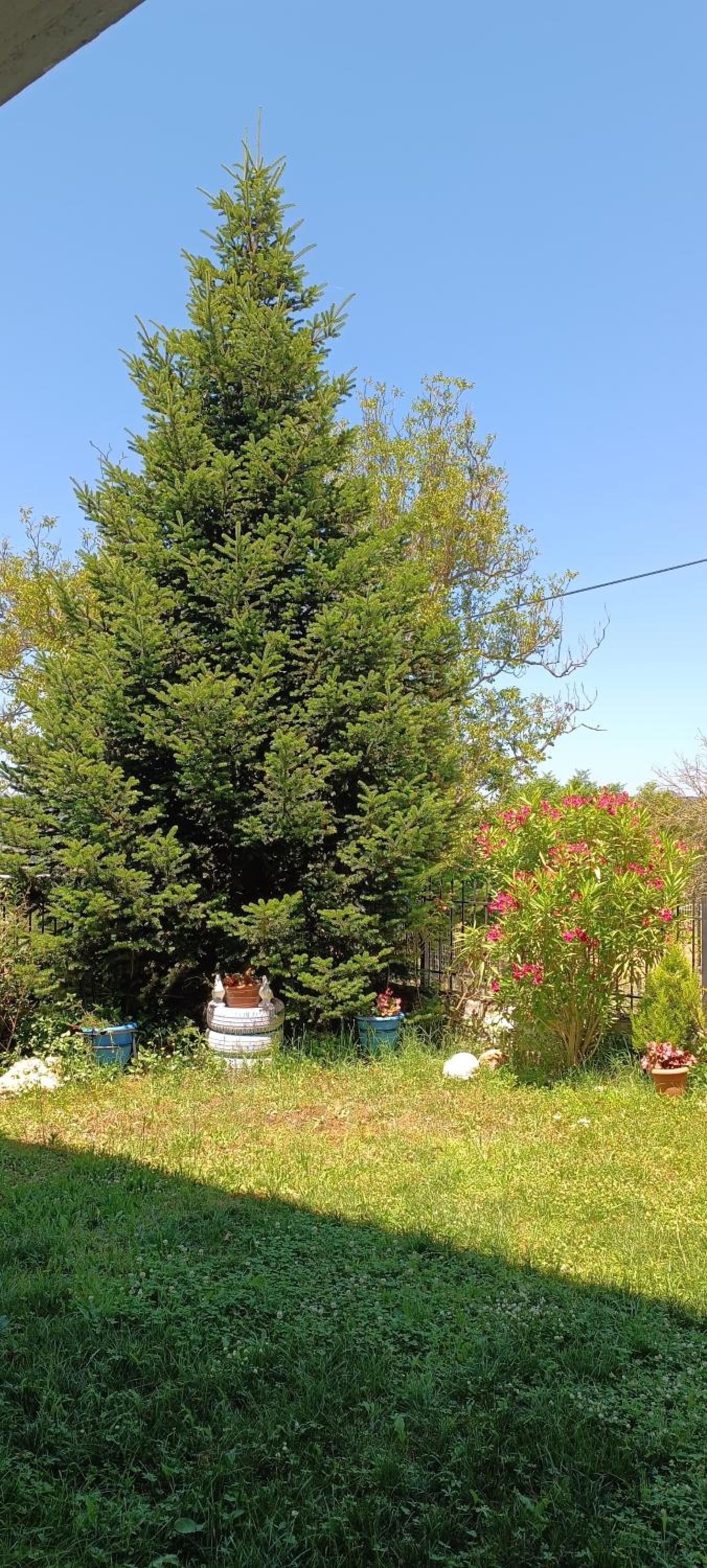 Pavlos House