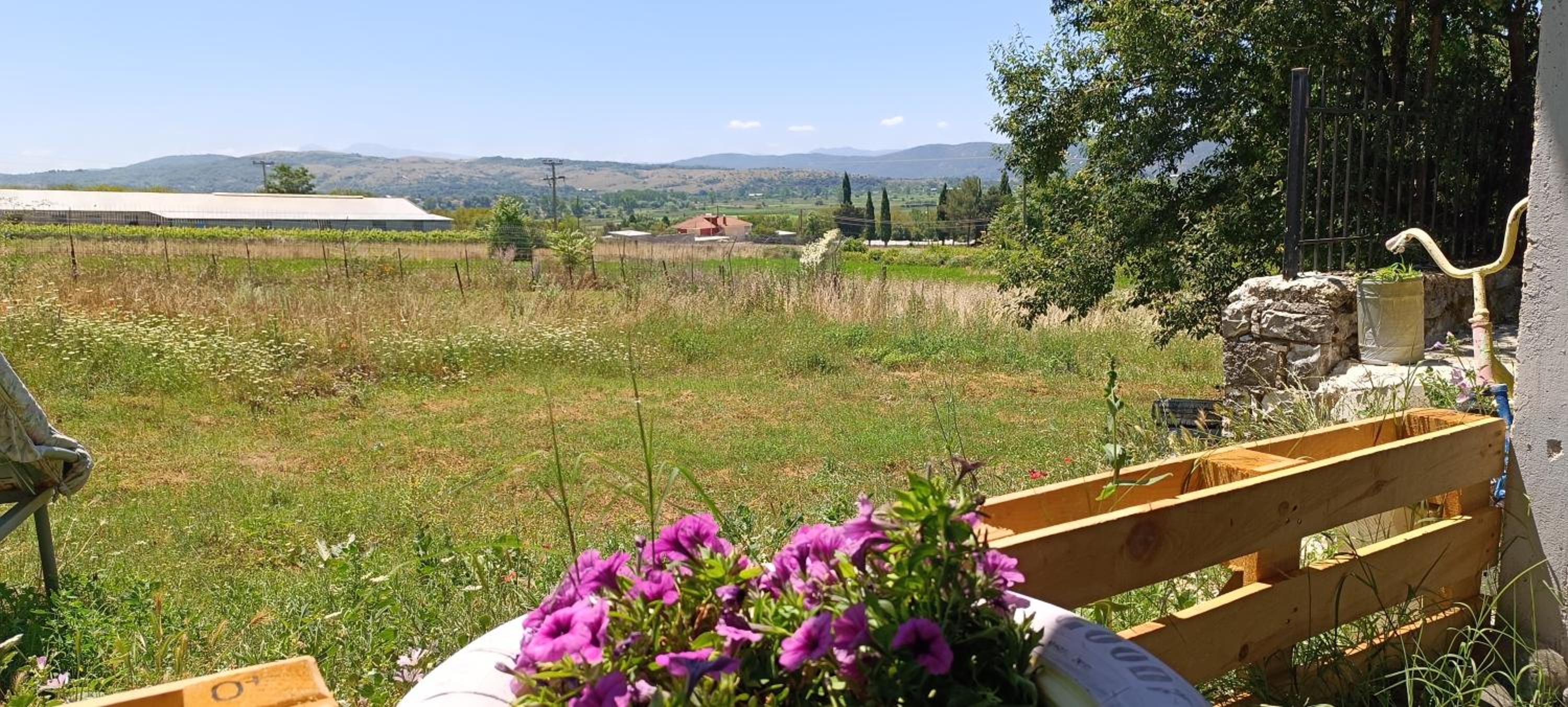 Pavlos House