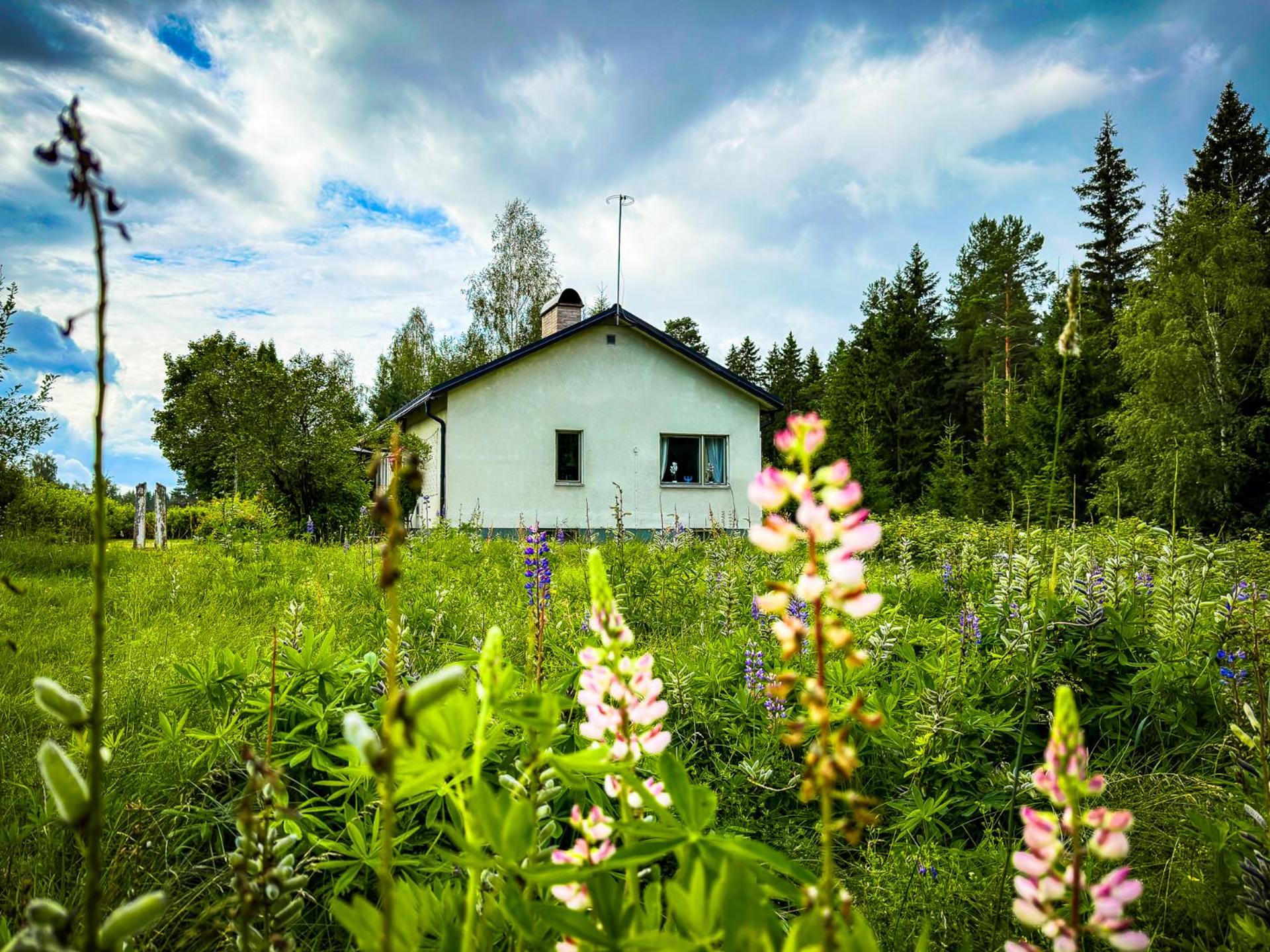Ferienhaus am Wald im Land der Elche view 4